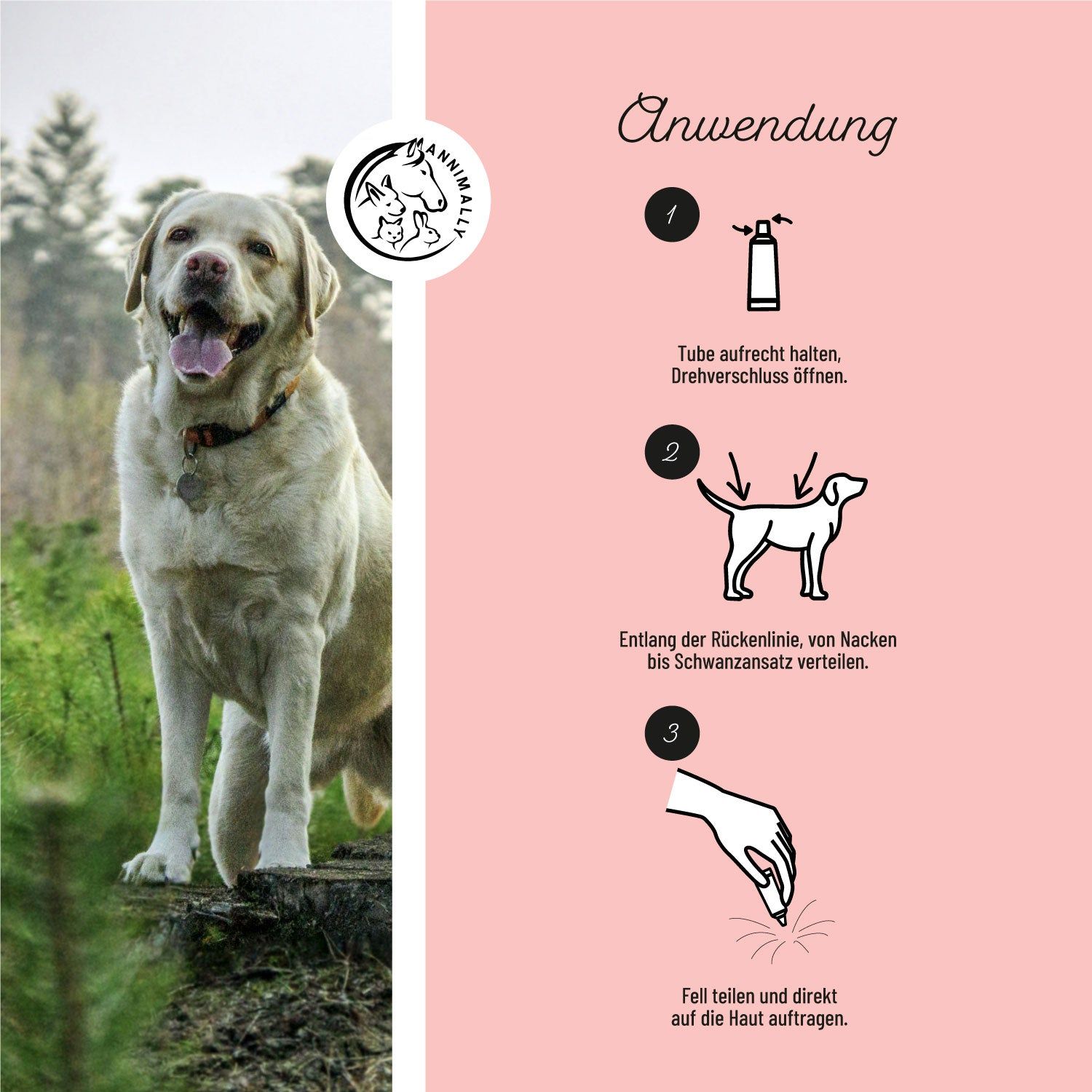 Anleitung zur Anwendung. Illustrationen zeigen die Anwendung des Produkts auf einem Hund. Logo: Annimally.