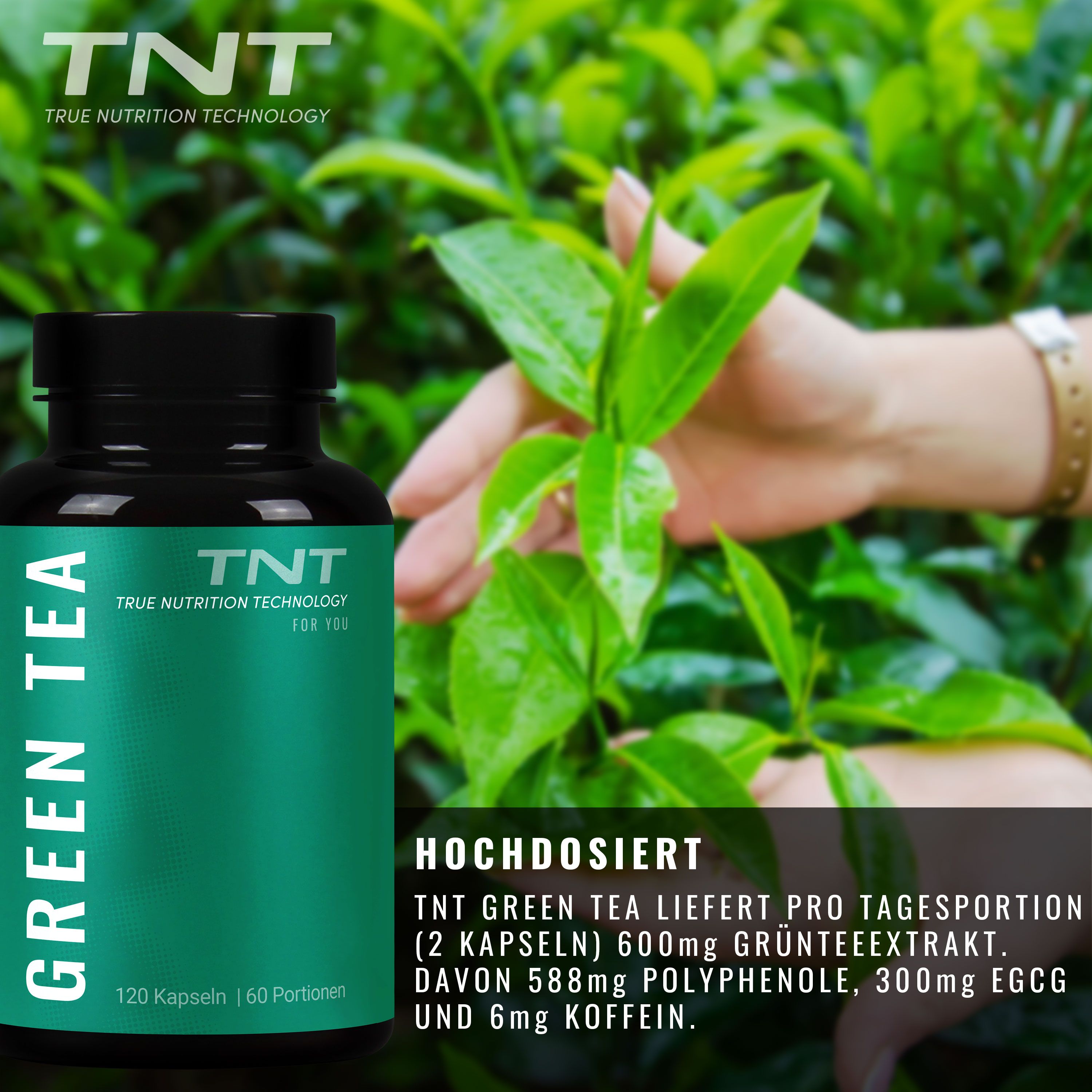 TNT Green Tea