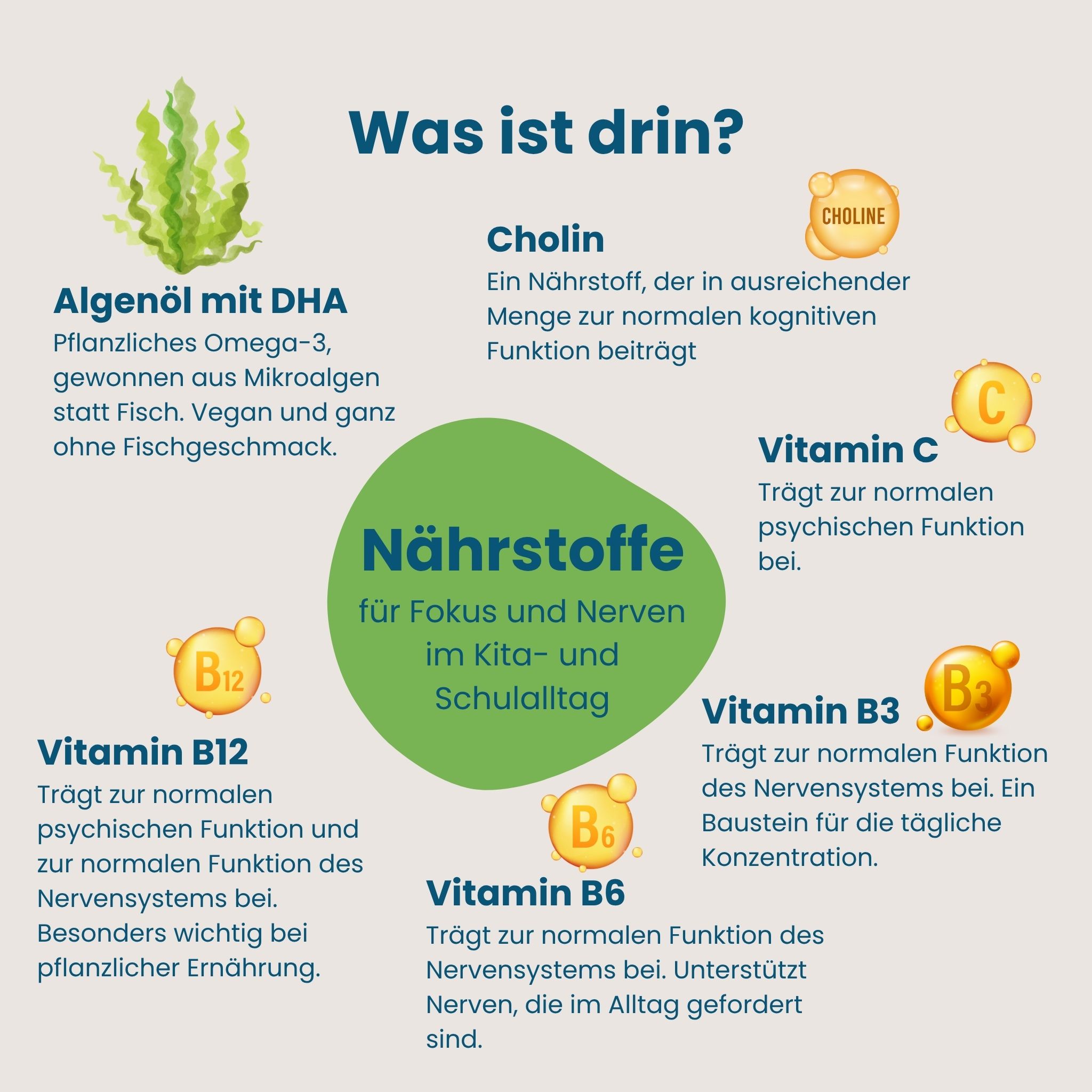 Übersicht der Nährstoffe in Hokus Fokus Gummies.