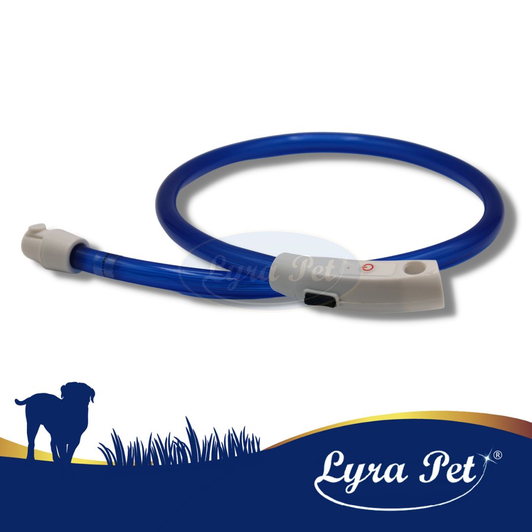 Lyra Pet® LED Halsband 70 cm blau