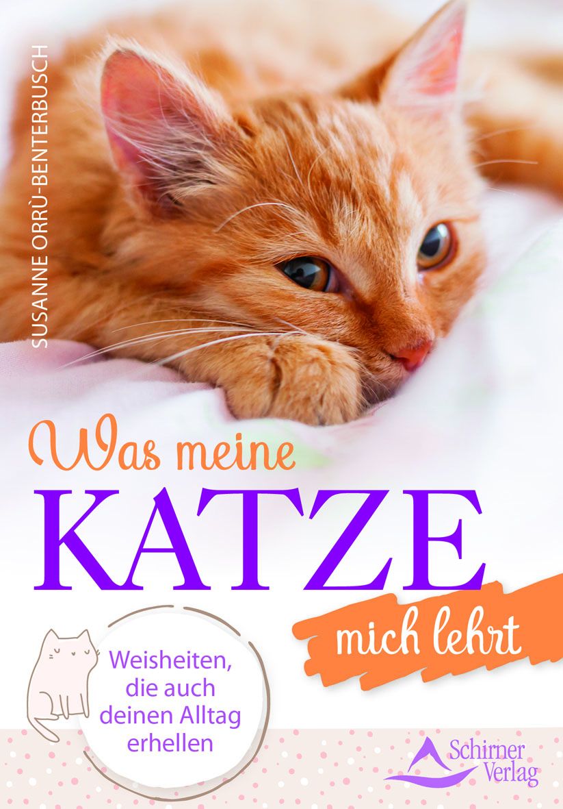 Was meine Katze mich lehrt