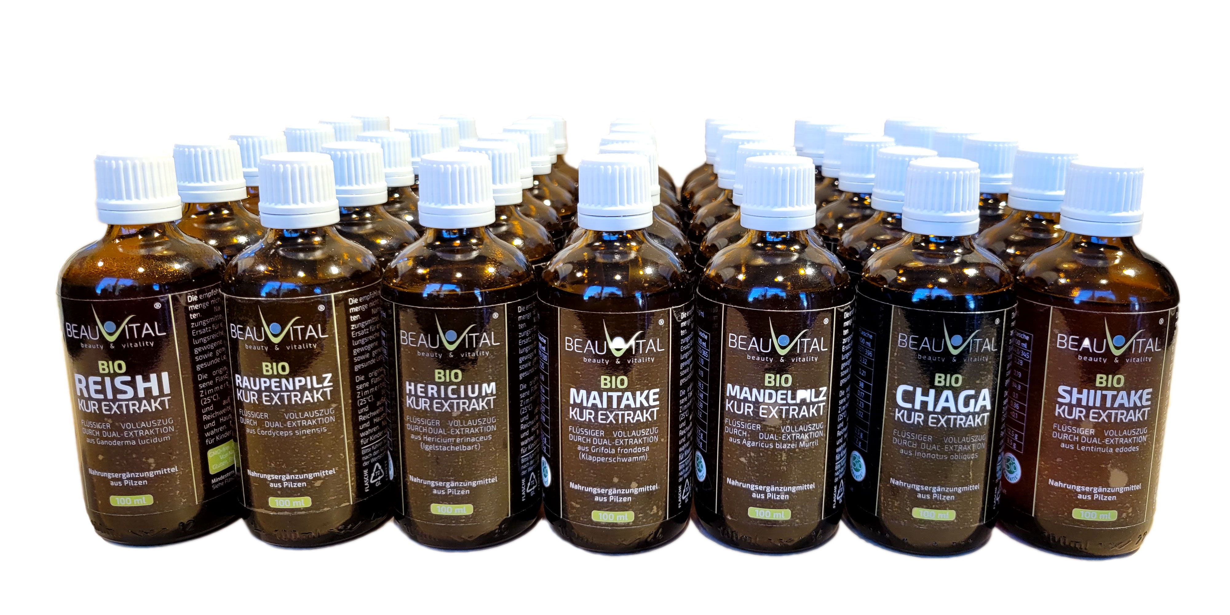 BEAUVITAL® Bio Chaga Kurextrakt | Flüssiger Vollauszug durch Dual-Extraktion