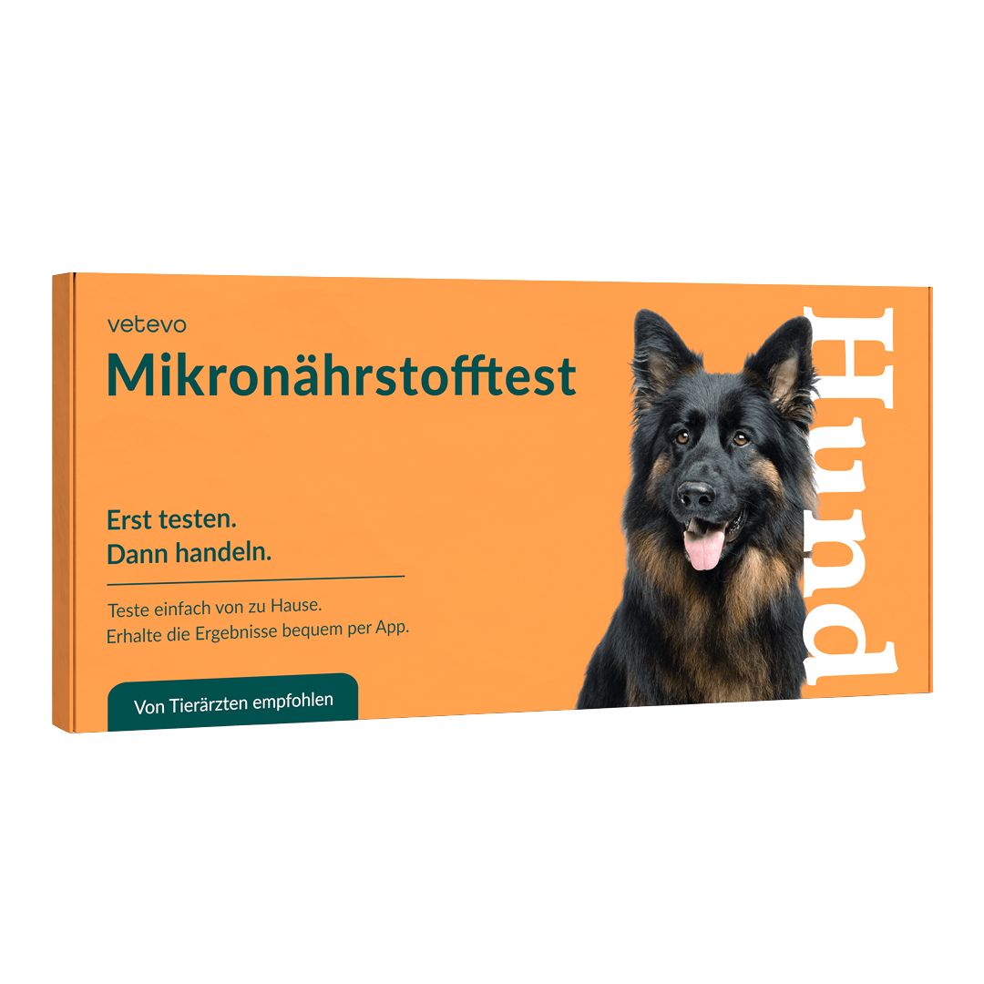 Orangefarbene Produktverpackung mit dem Logo und dem Namen des Produkts. Auf der Verpackung ist ein Hund abgebildet. Text: Von Tierärzten empfohlen.