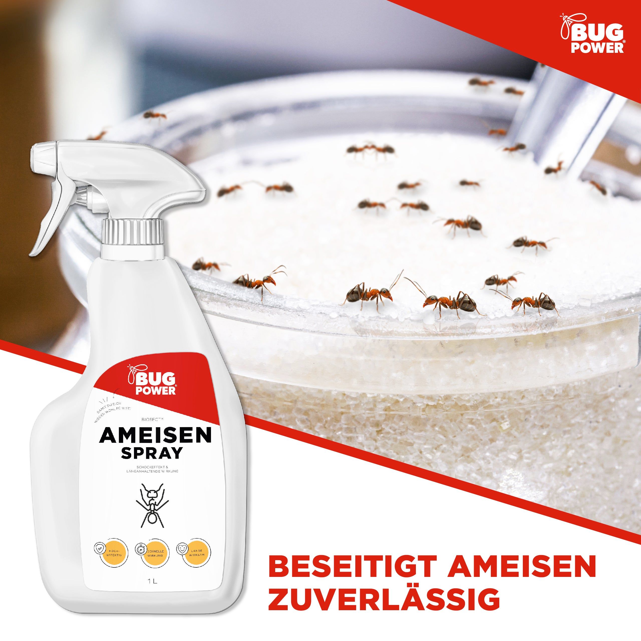 BugPower Ameisen Spray