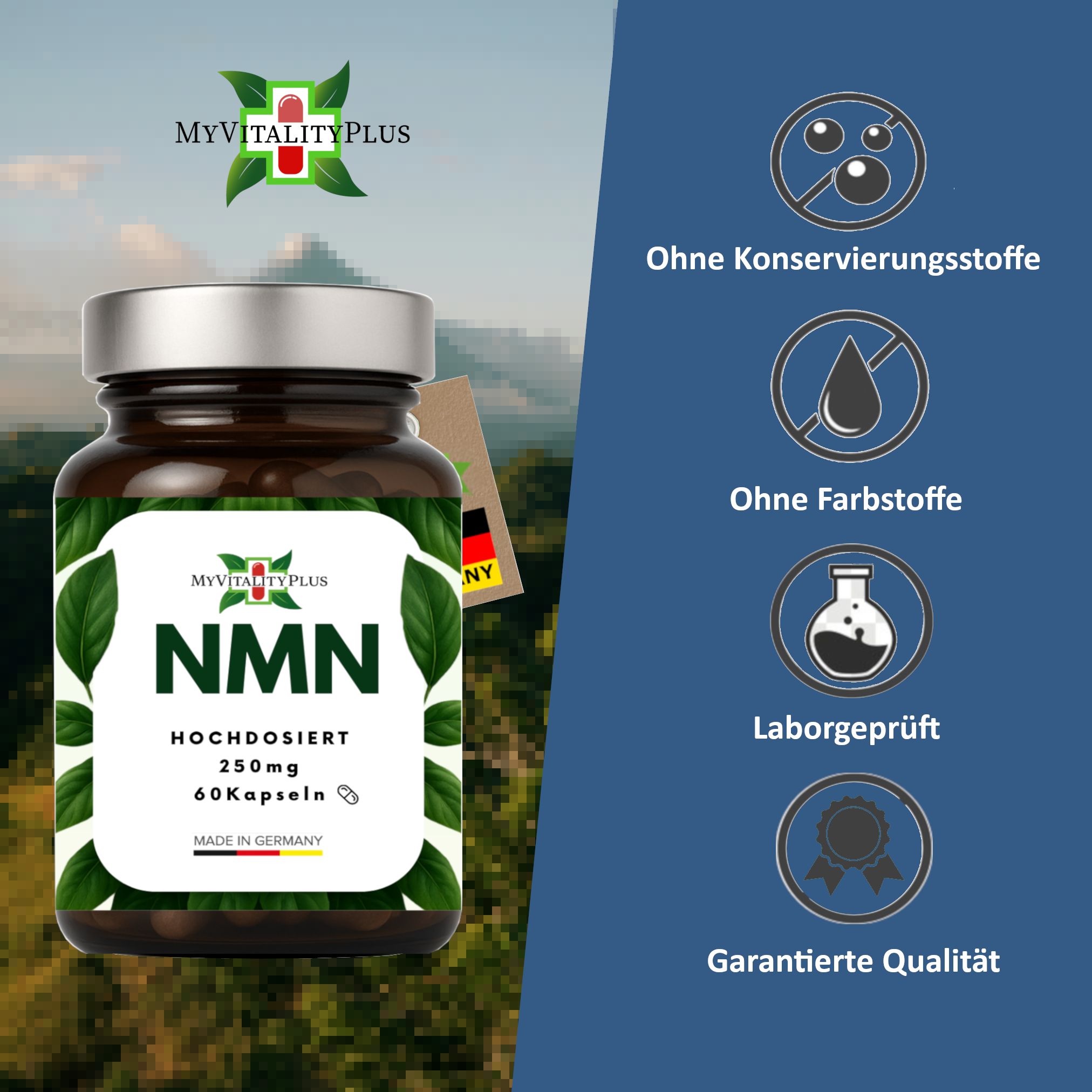 NMN Kapseln | Hochdosiert | 500mg Tagesdosis | von MyVitalityPlus