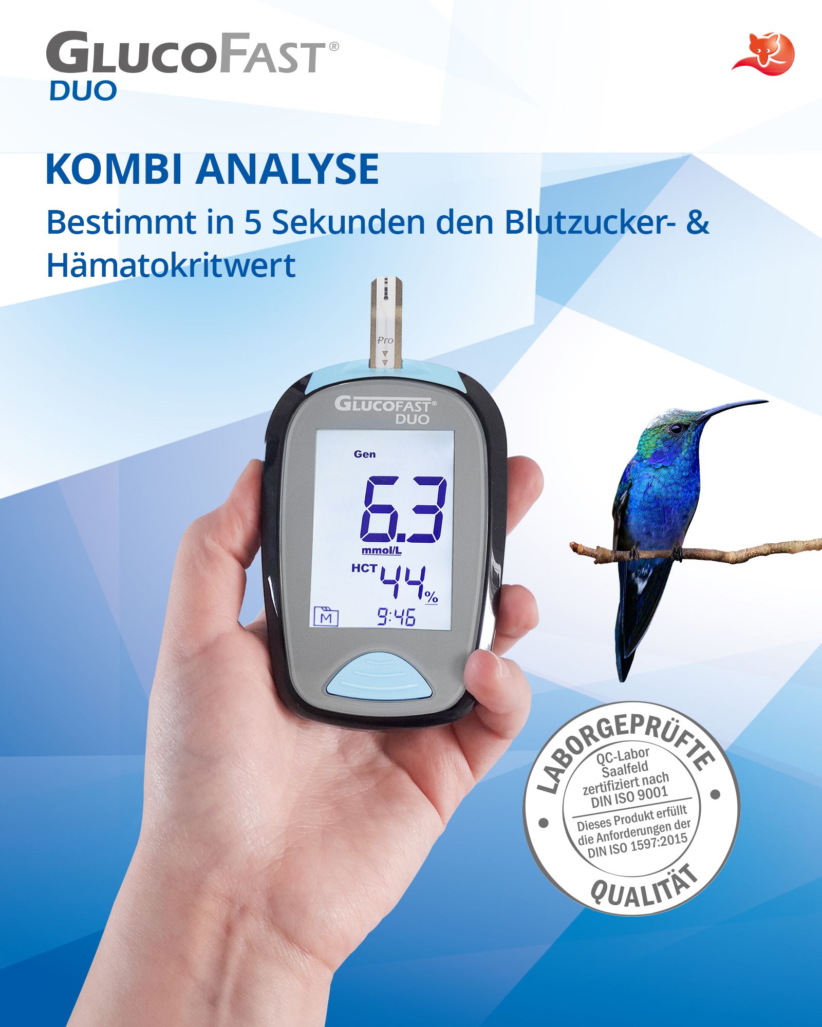 Glucofast® Duo Blutzuckermessgerät Starterset inkl. Teststreifen und Lanzetten (mmol/L) 1 St