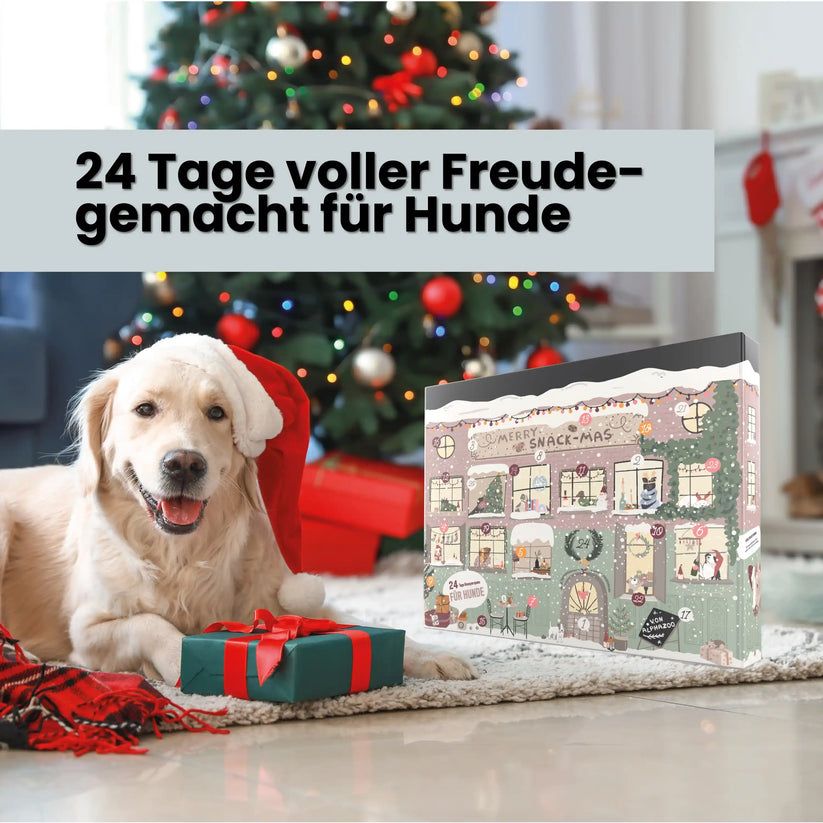 alphazoo Adventskalender 2025 für Hunde