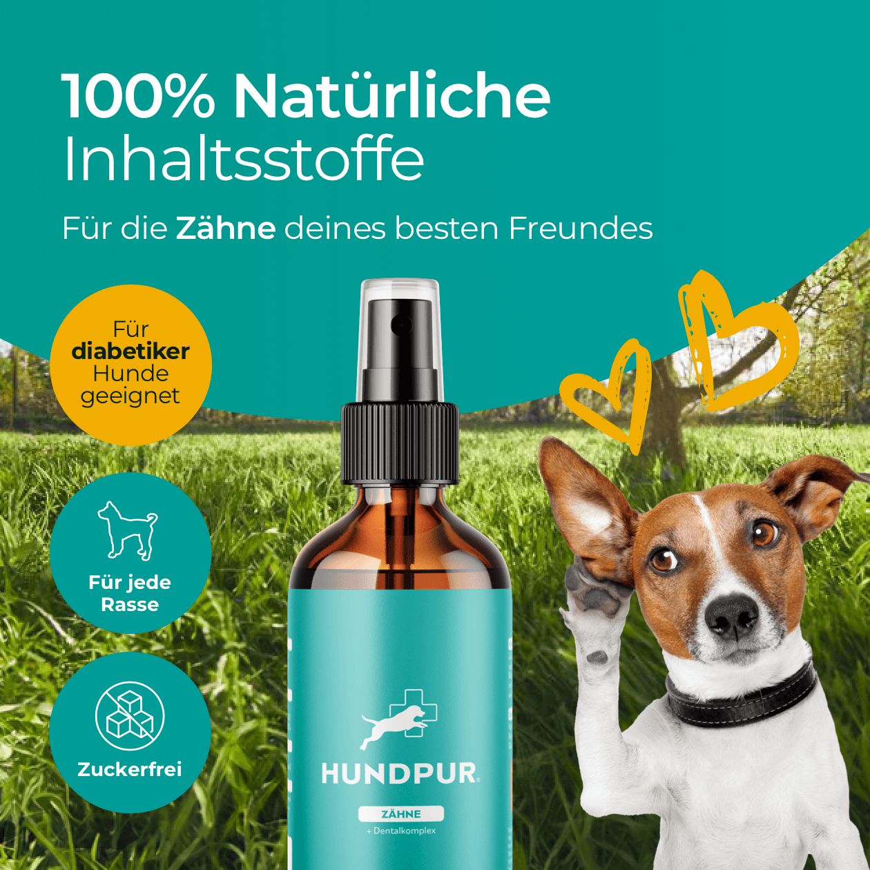 Hundpur® Zähne mit Dentalkomplex