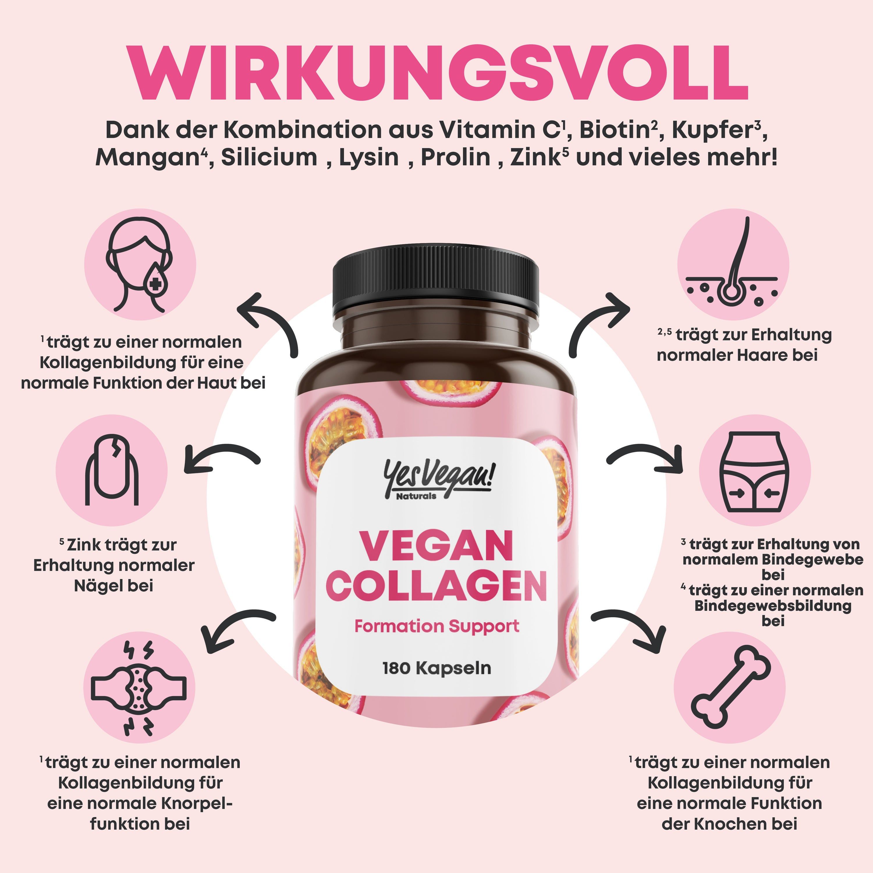Infografik mit Produktvorteilen. Flasche mit Vegan Collagen. Vorteile für Haut, Haare, Nägel, Knochen.