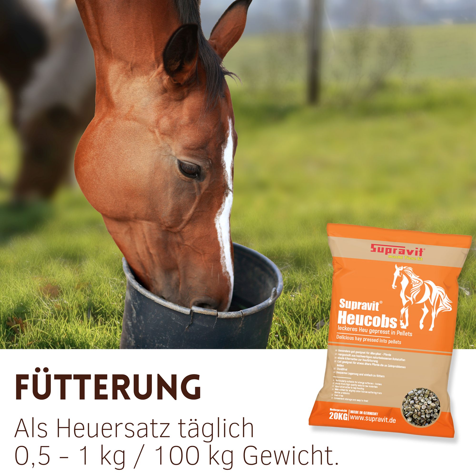 Pferd trinkt aus einem Eimer. Rechts: Verpackung mit Supravit Heucobs. Text: Fütterung, als Heuersatz täglich 0,5 - 1 kg / 100 kg Gewicht.