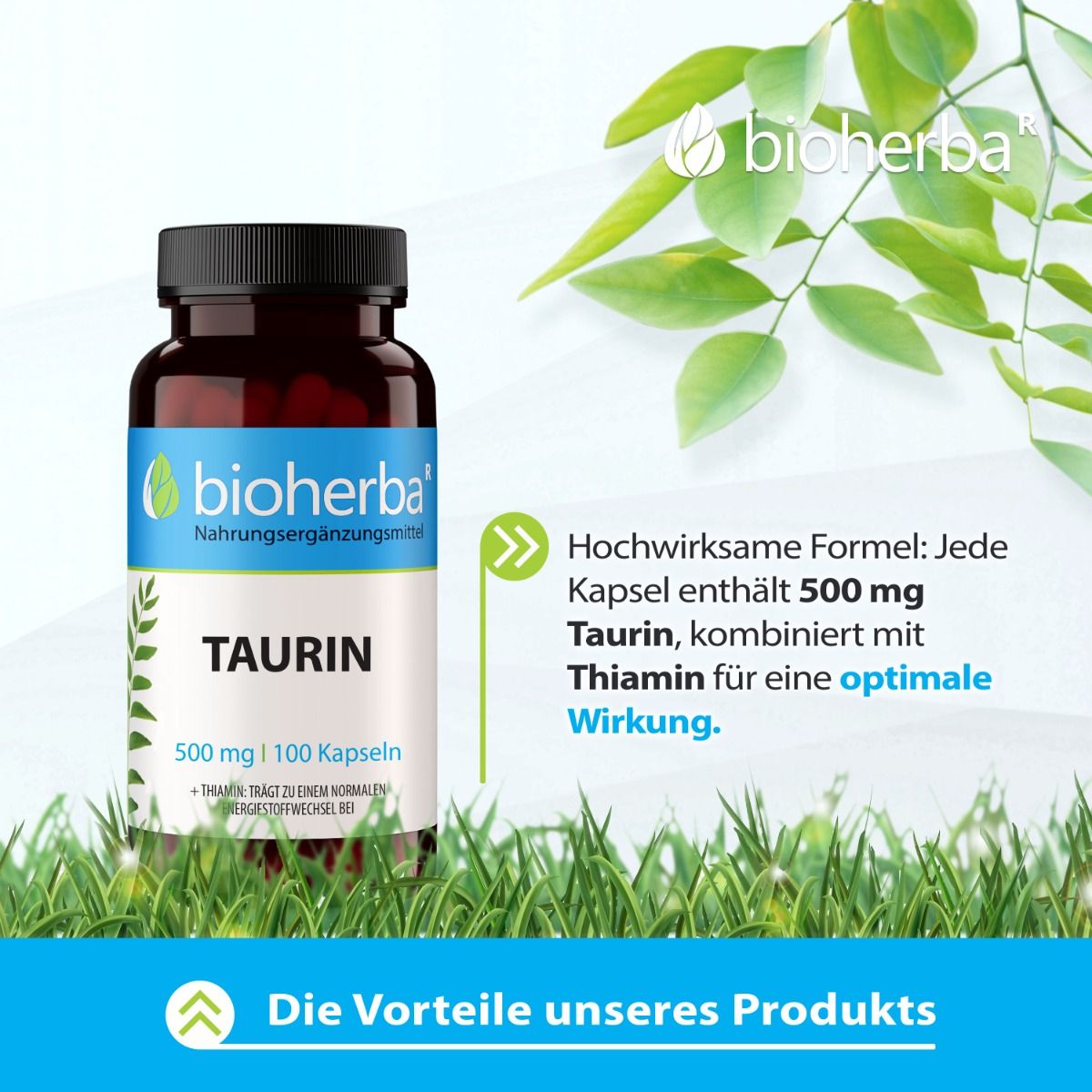 Bioherba Taurin 100 Kapseln