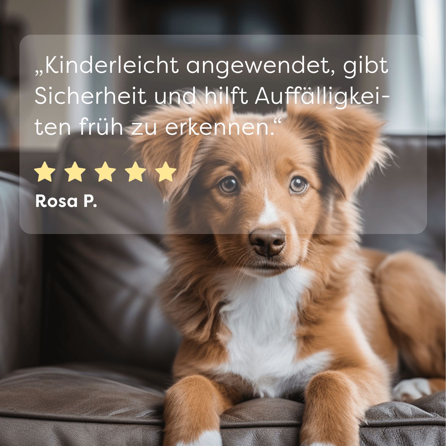 Hund auf Couch. Zitat: „Kinderleicht angewendet, gibt Sicherheit und hilft Auffälligkeiten früh zu erkennen.“