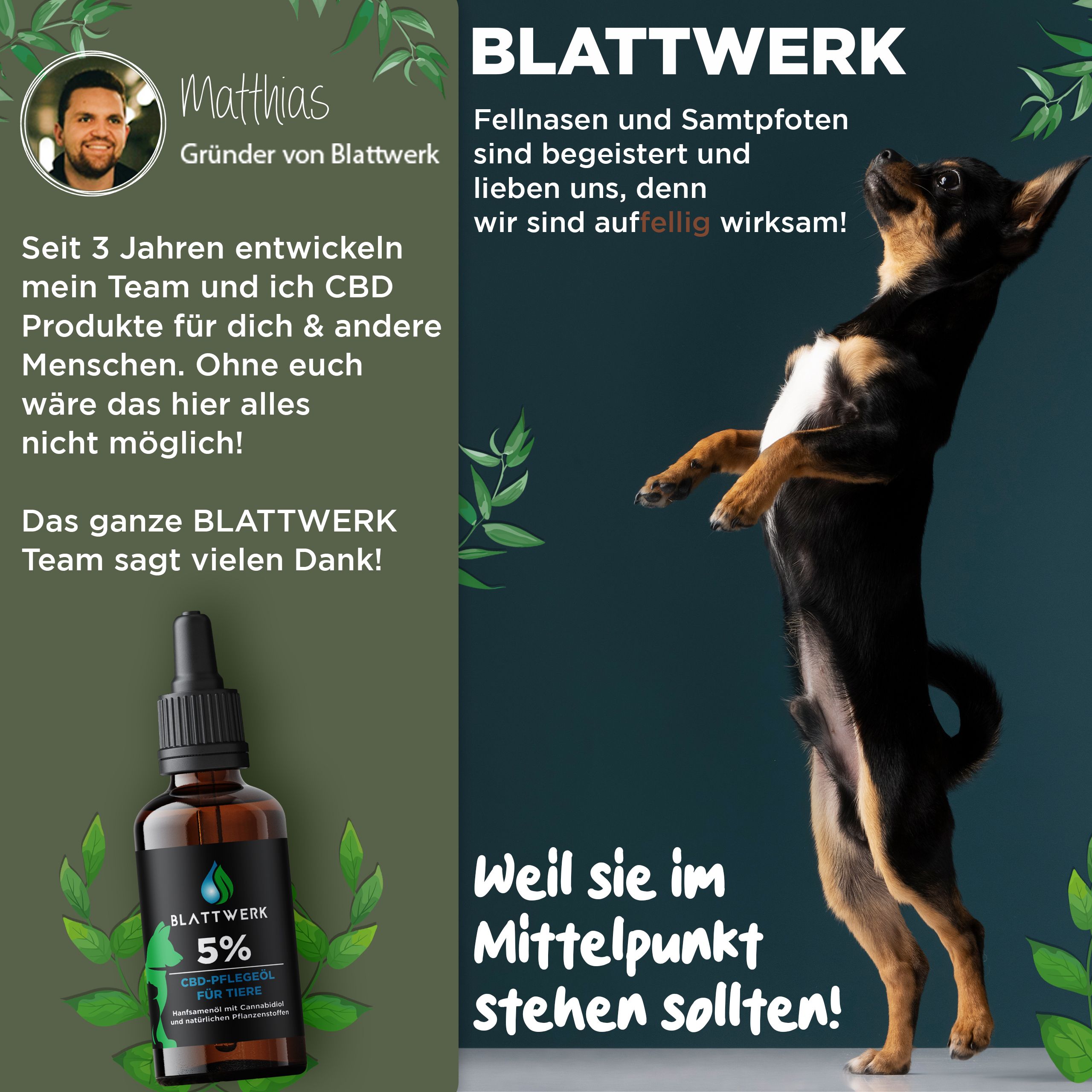 5% CBD Öl für Hunde & Katzen - Deutsche Qualität - CBD Öl Hund - 10ml - 250 CBD Tropfen - BLATTWERK