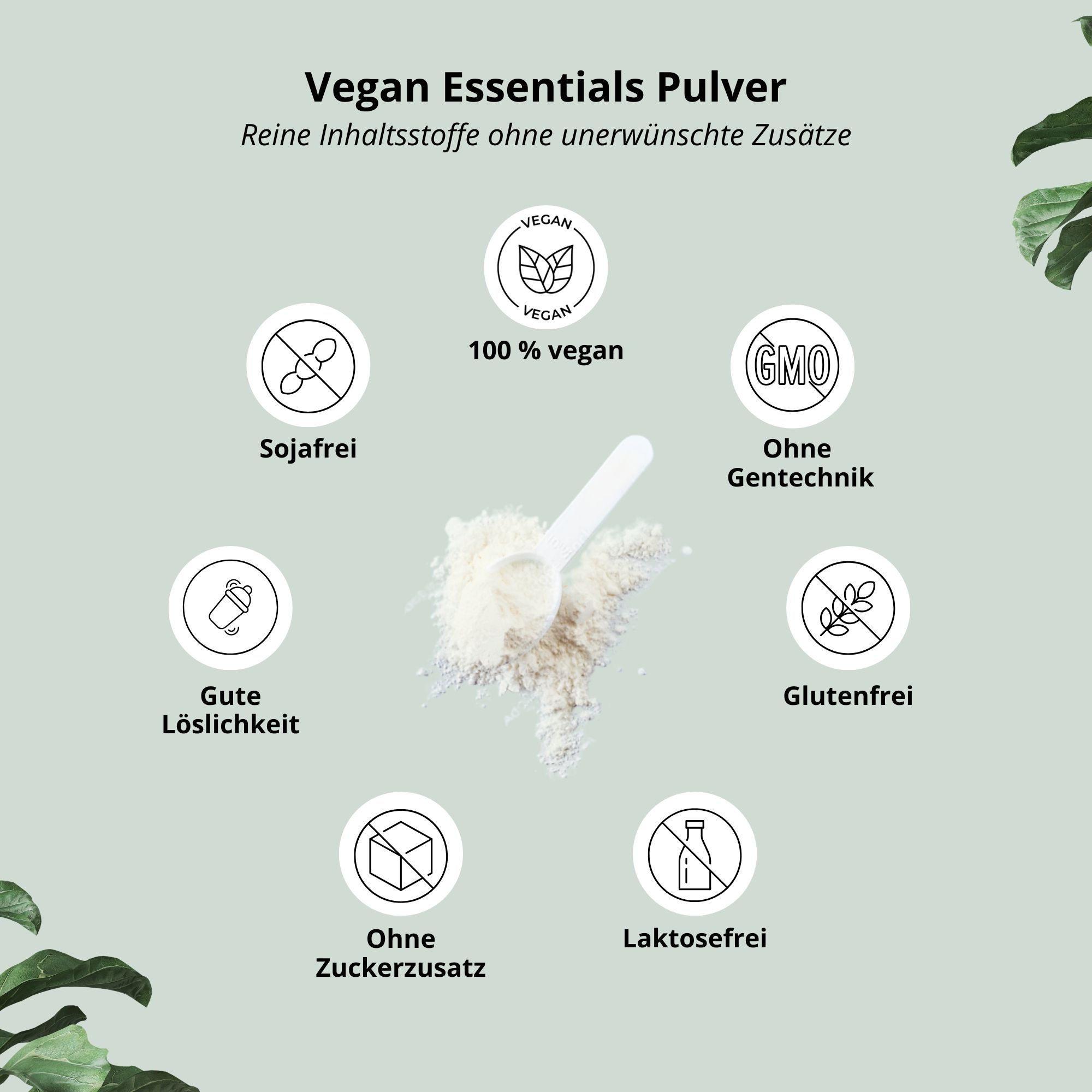 Nutri+ Vegan Essentials Pulver: Himbeer-Drachenfrucht-Geschmack. Dose mit Pulver, Himbeeren und Drachenfrucht-Scheibe.