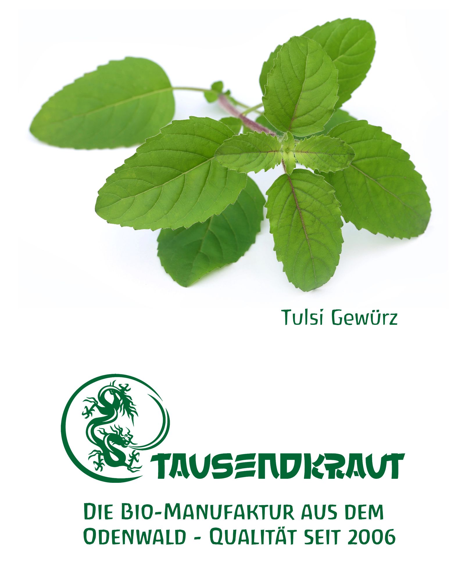 Grüne Blätter von Tulsikraut. Text: Tulsigewürz. Logo: Tausendkraut. Text: Die Bio-Manufaktur aus dem Odenwald - Qualität seit 2006.