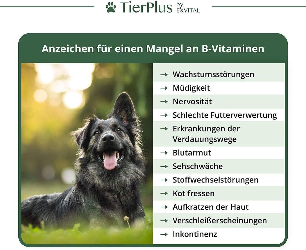 Anzeichen für B-Vitaminmangel bei Hunden, relevant für EXVital Vitamin B Komplex.