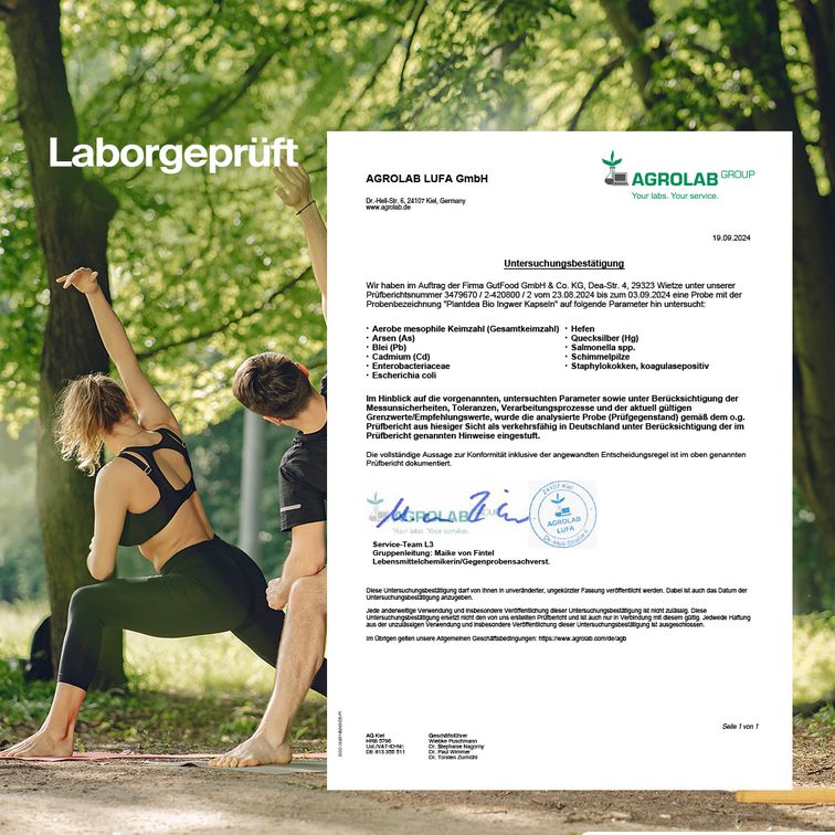 PlantDEA Bio Ingwer Kapseln