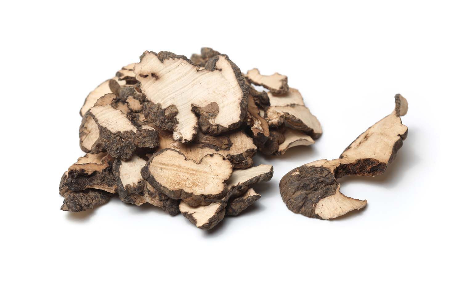 Haufen getrockneter Pilzstücke. Hellbraun mit dunklen Rändern. Auf weißem Hintergrund.