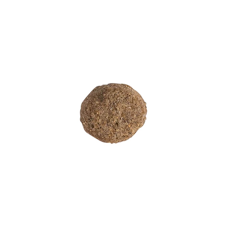 Ein einzelnes Kroketten-Futterstück für Hunde, rund und braun.