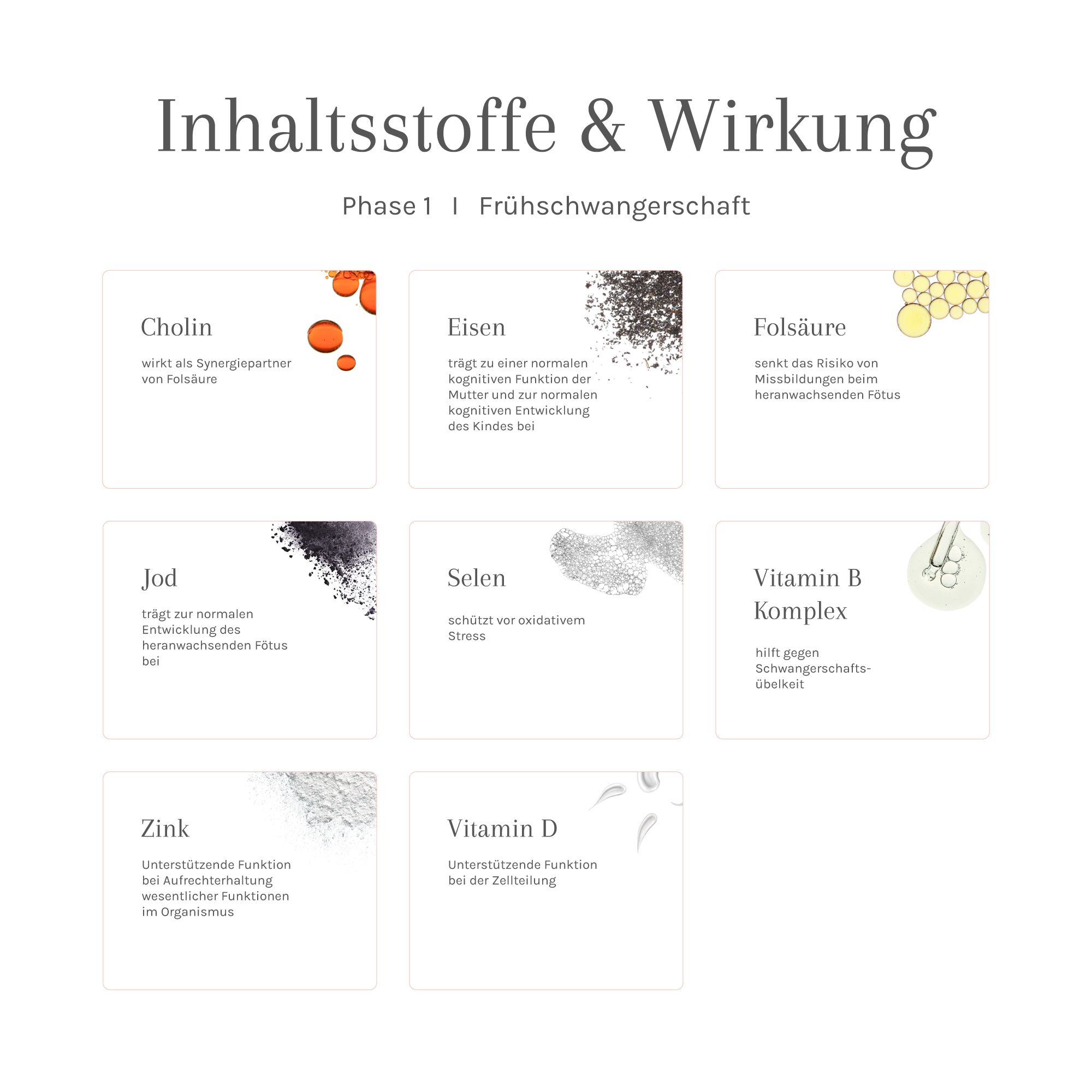 Infografik mit Inhaltsstoffen und Wirkung. Phase 1: Frühschwangerschaft. Darstellung von Cholin, Eisen, Folsäure etc.