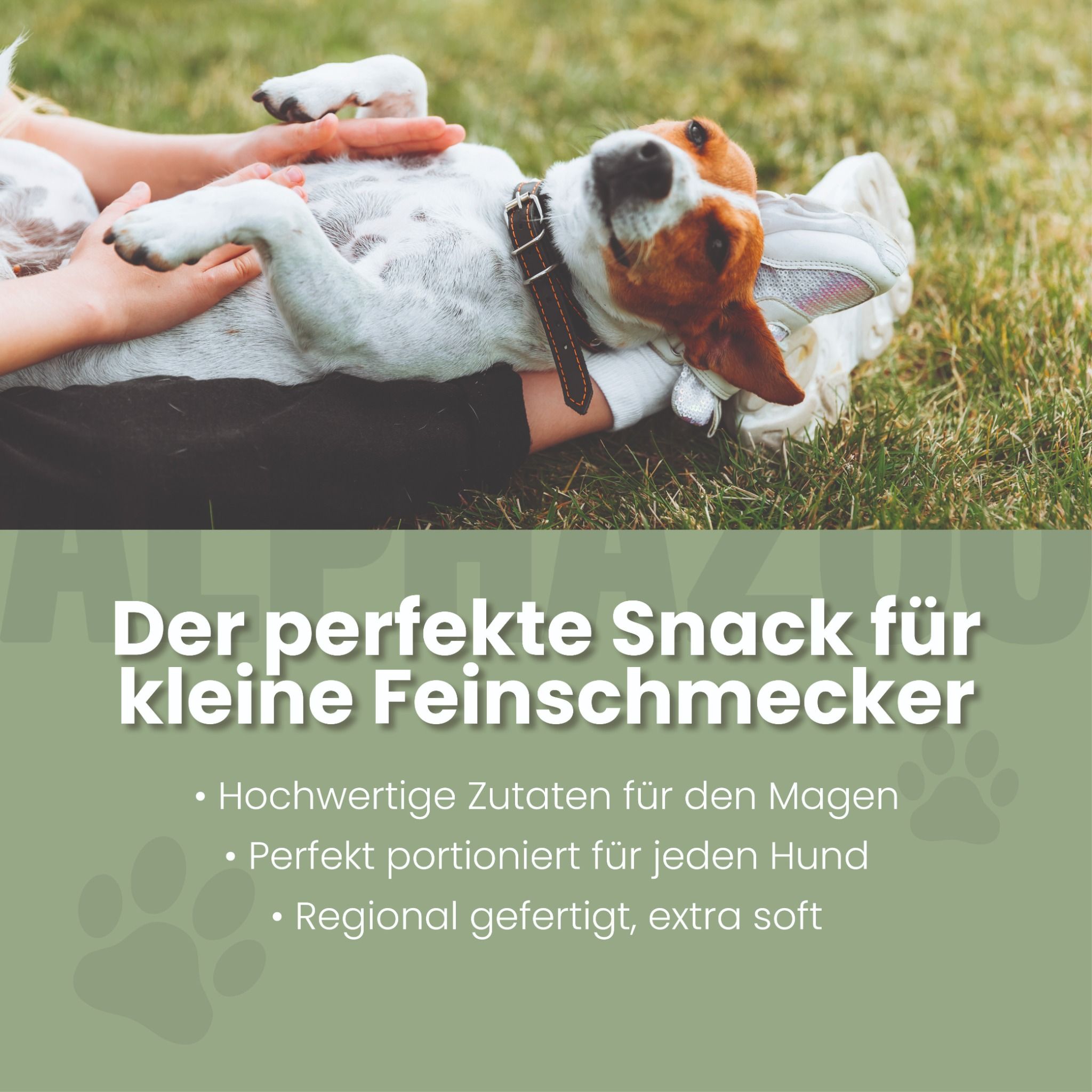 alphazoo Fauchi Bauchi Funktionssnack für Hunde – für Magen & Darm