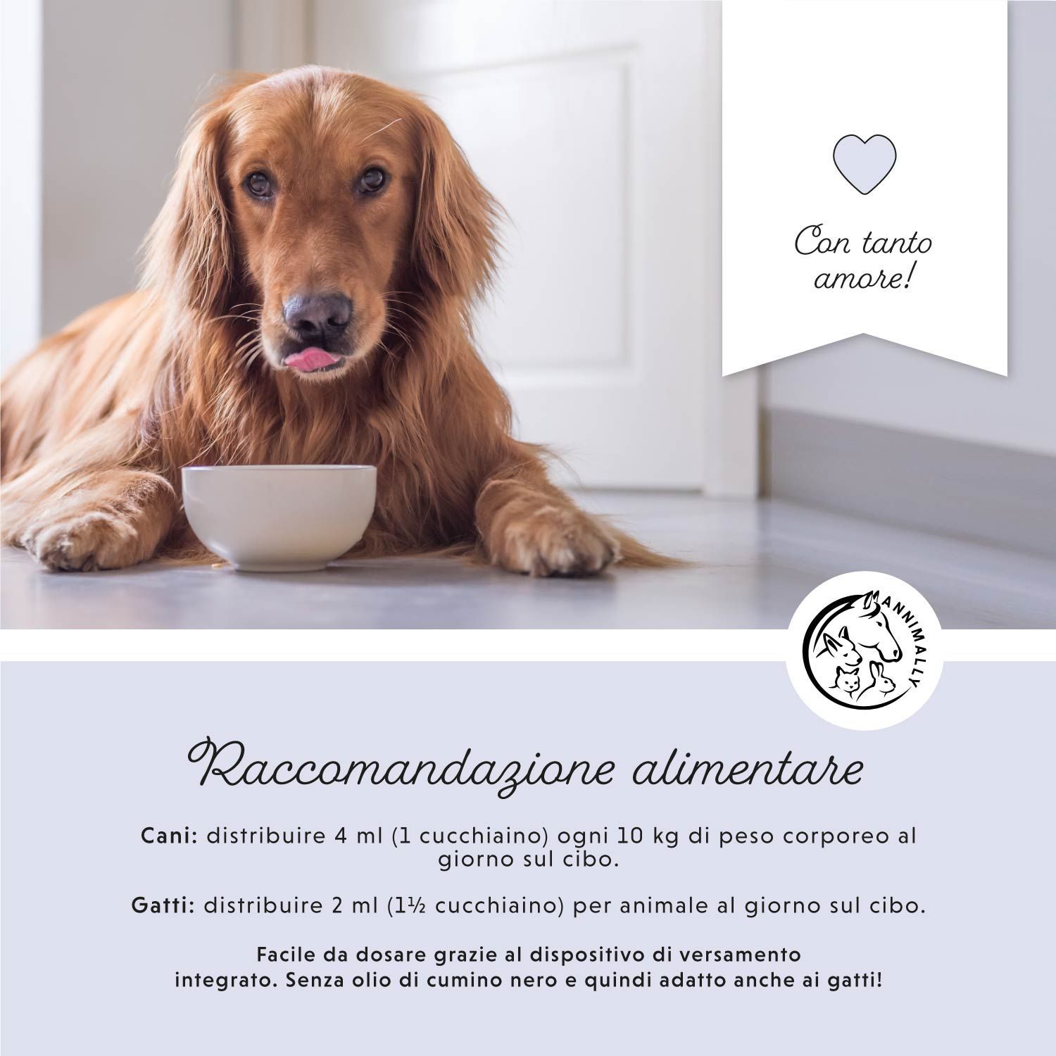 Hund liegt neben Napf. Text: Fütterungsempfehlung für Hunde und Katzen. Logo mit Tierabbildungen. Herz-Symbol.
