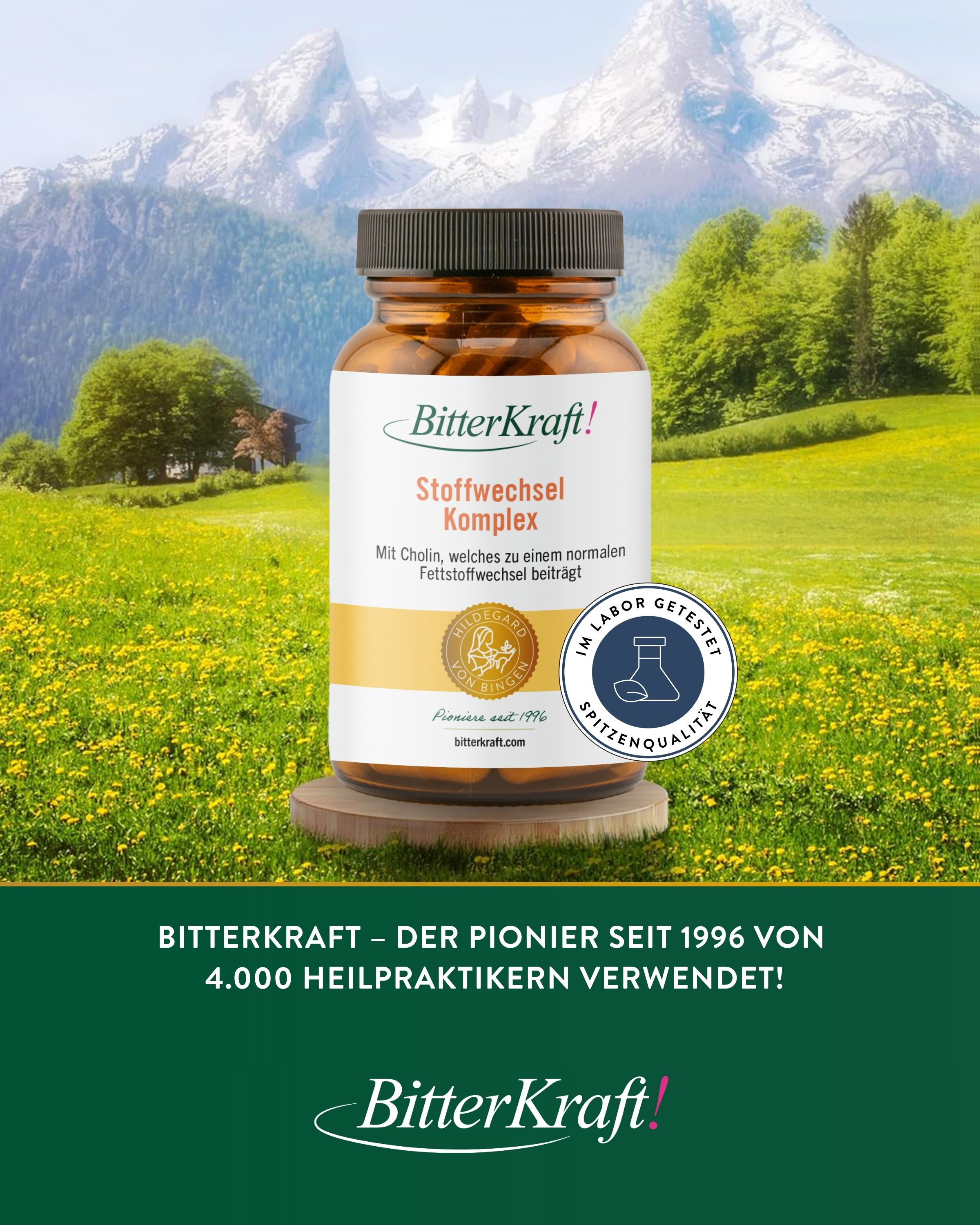 Bitterkraft Stoffwechsel Kapseln