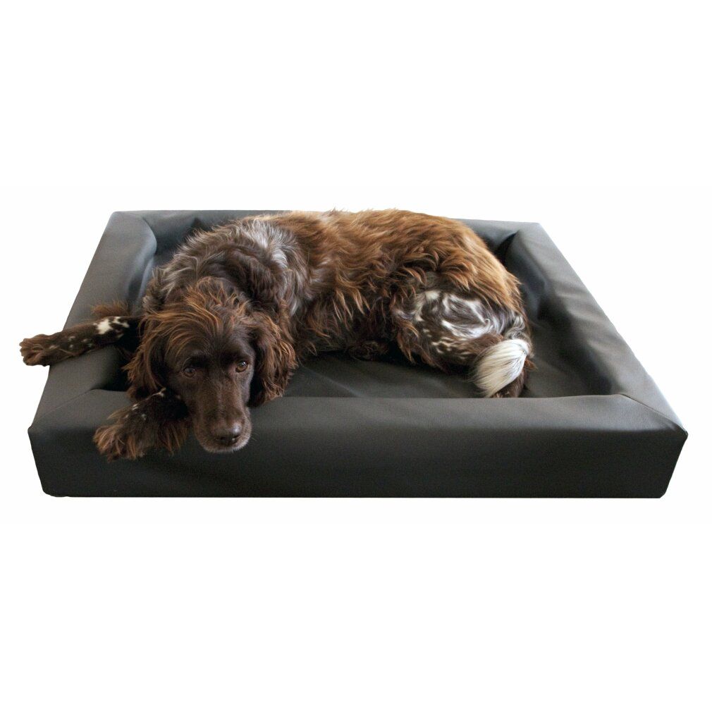 Graues Hundebett mit einem Hund. Rechteckige Form, erhöhte Ränder.