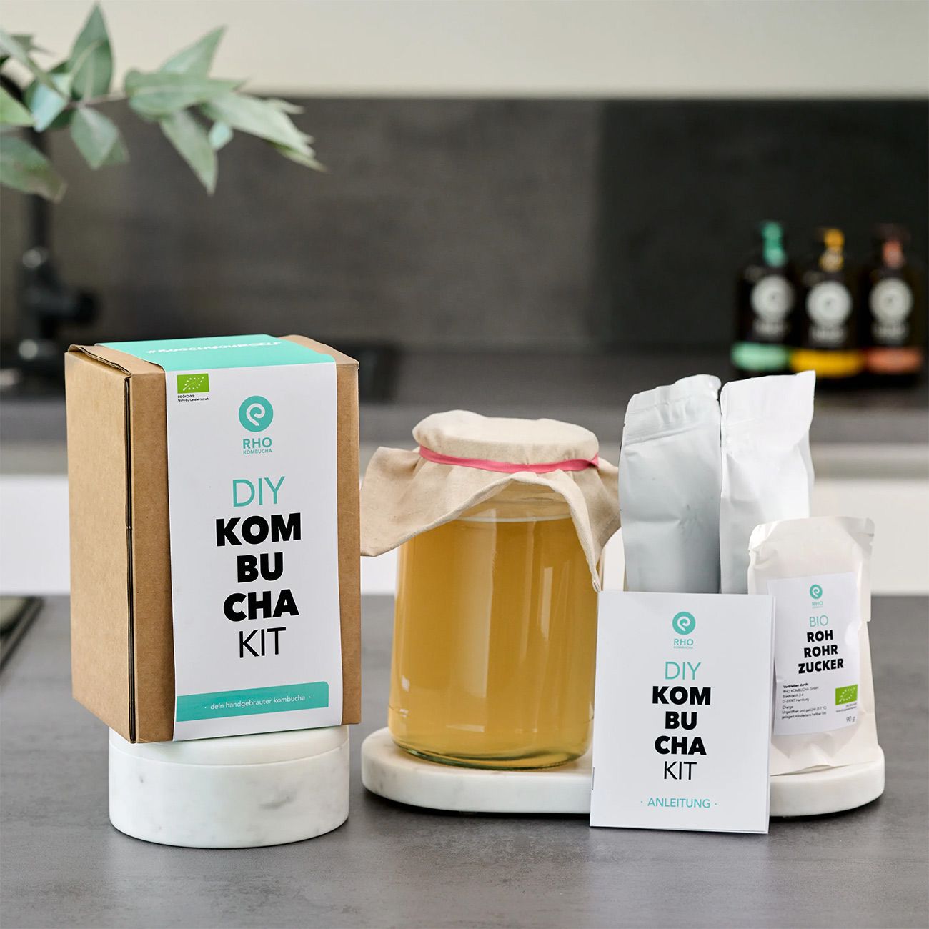 RHO Kombucha Kit - Do It Yourself