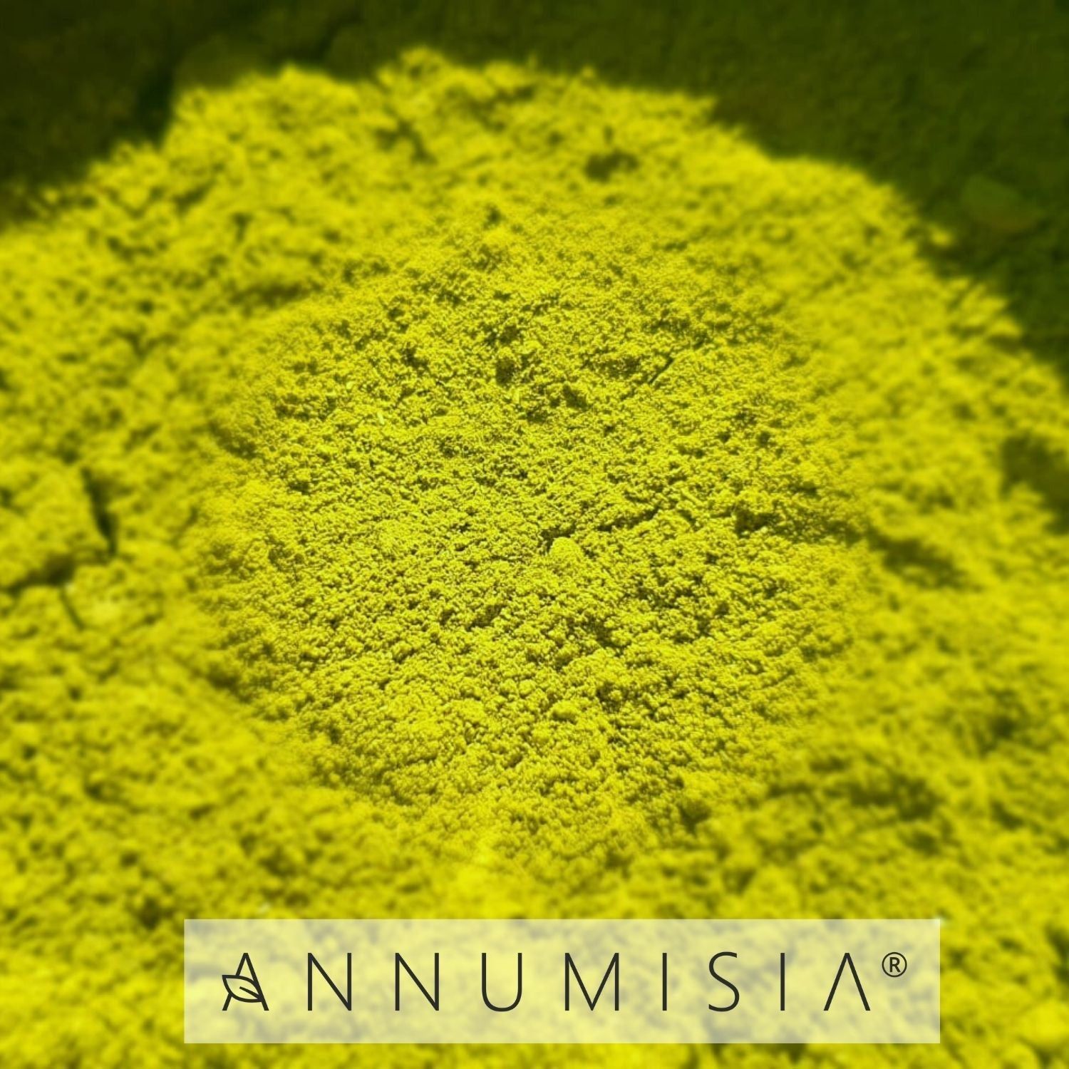ANNUMISIA® Artemisia Annua Pflanzenpulver 100 g - SHOP APOTHEKE