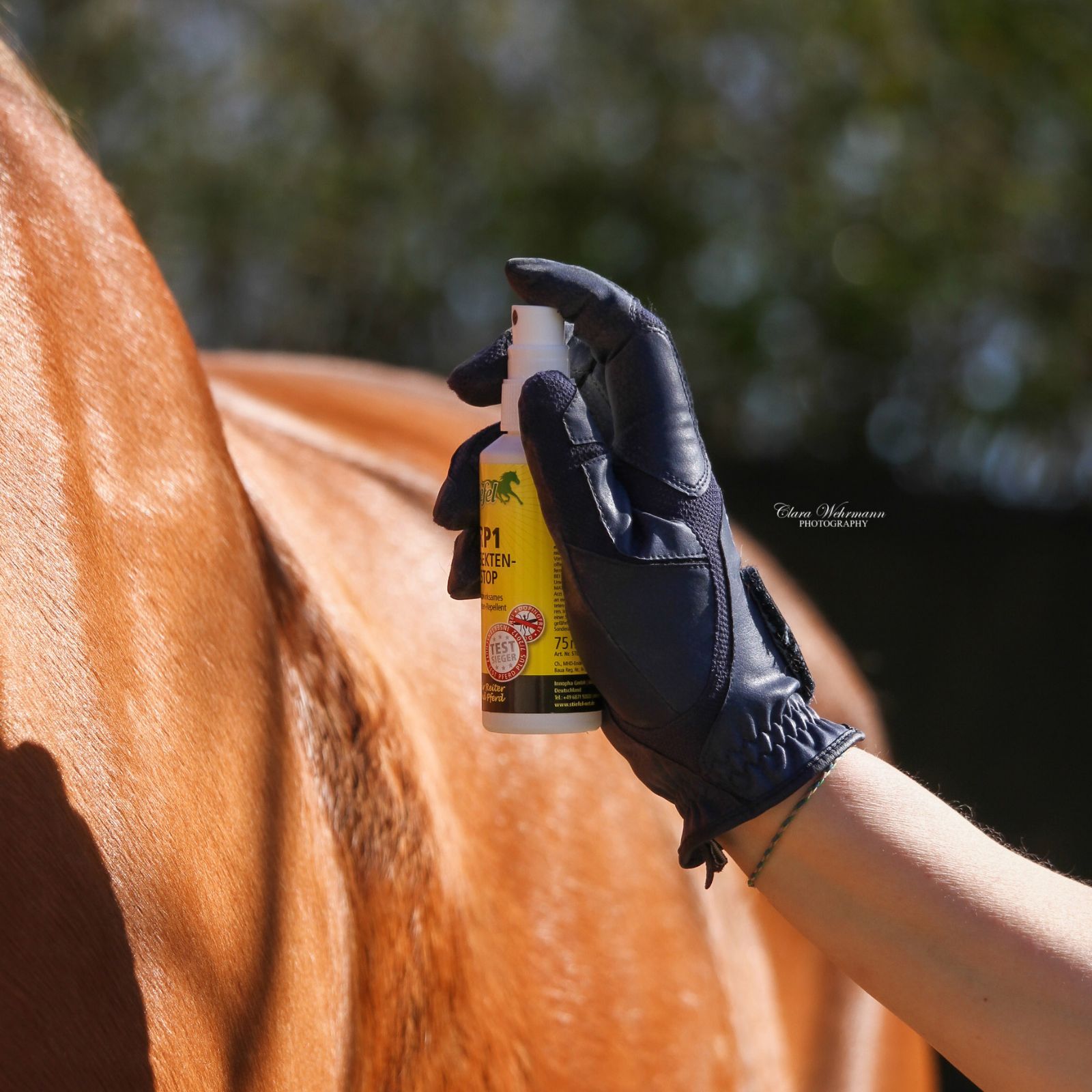 Stiefel RP1 Insekten-Stop Spray