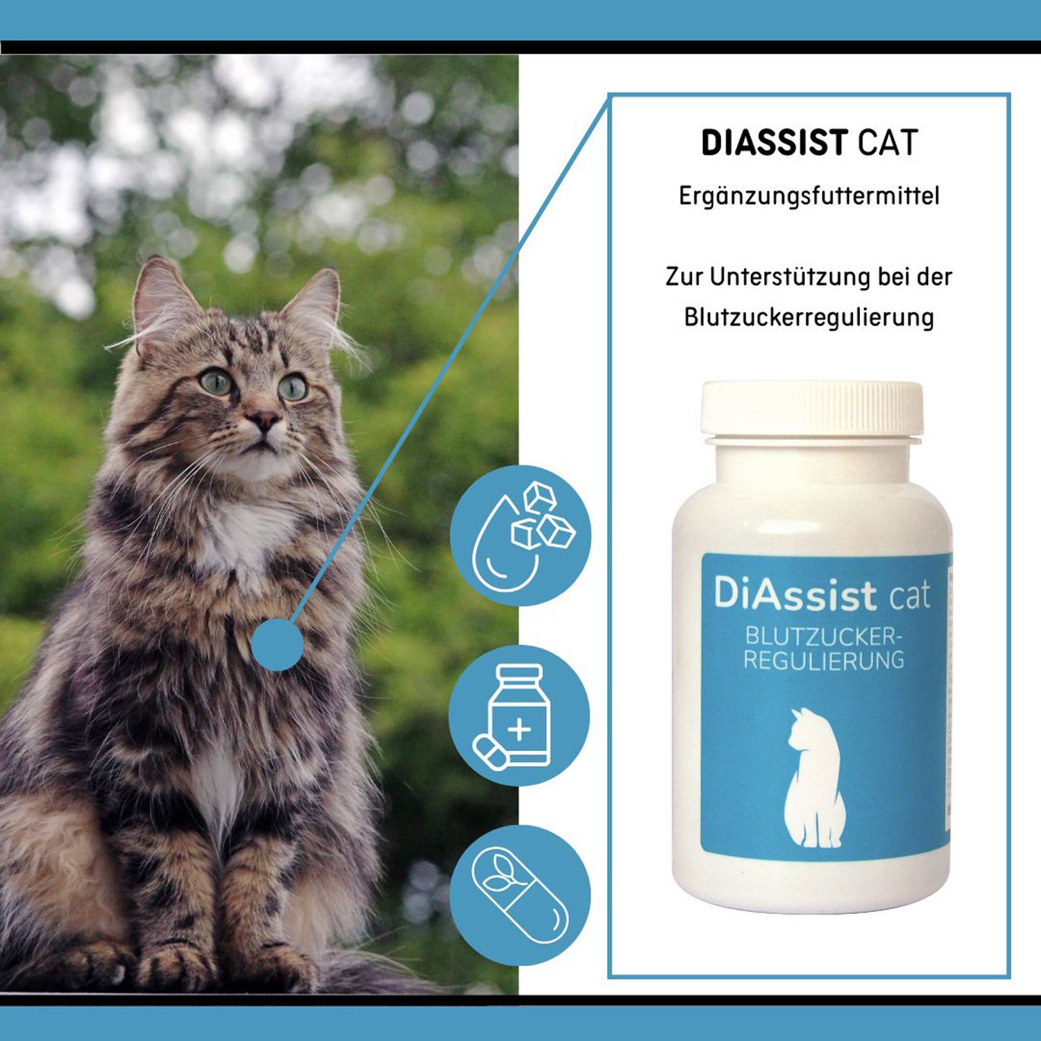 reboVet ReboTabs DiAssist cat