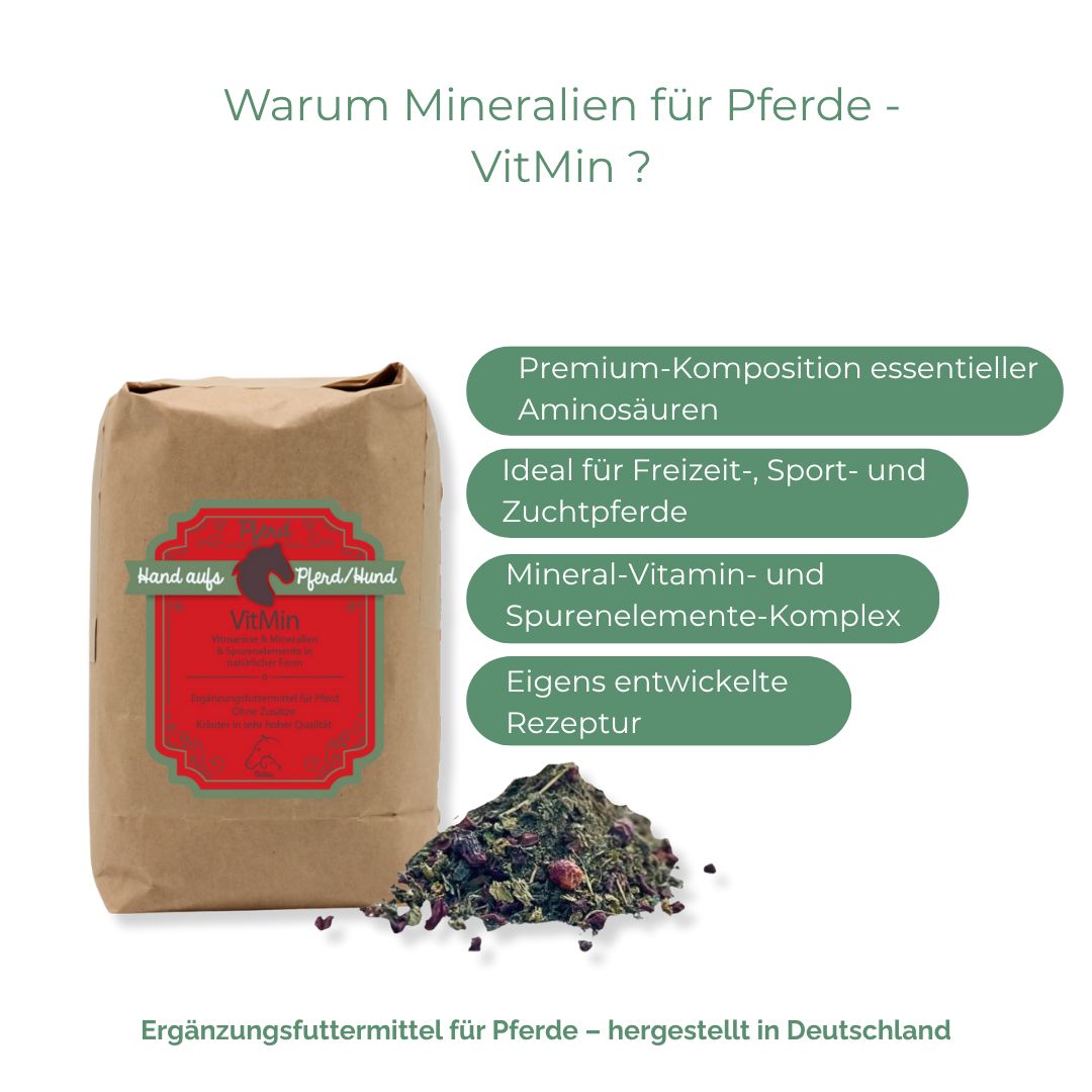 Braune Papiertüte mit rotem Etikett. Text: Hand aufs Pferd/Hund, VitMin. Daneben Kräutermischung. Textblöcke: Aminosäuren, Mineralien, Rezeptur.