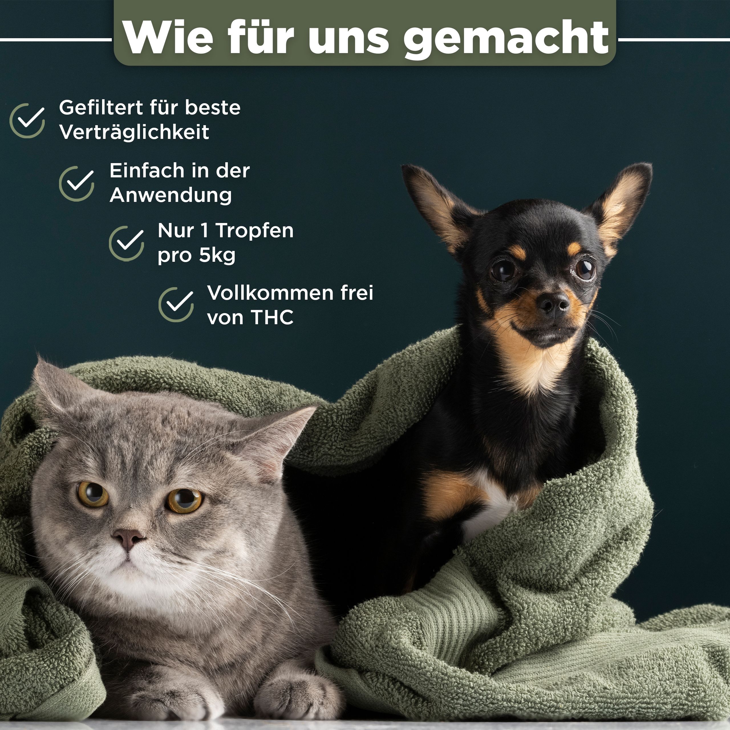 15% CBD Öl für Hunde & Katzen - Deutsche Qualität - CBD Öl Hund - 10ml - 250 CBD Tropfen - BLATTWERK