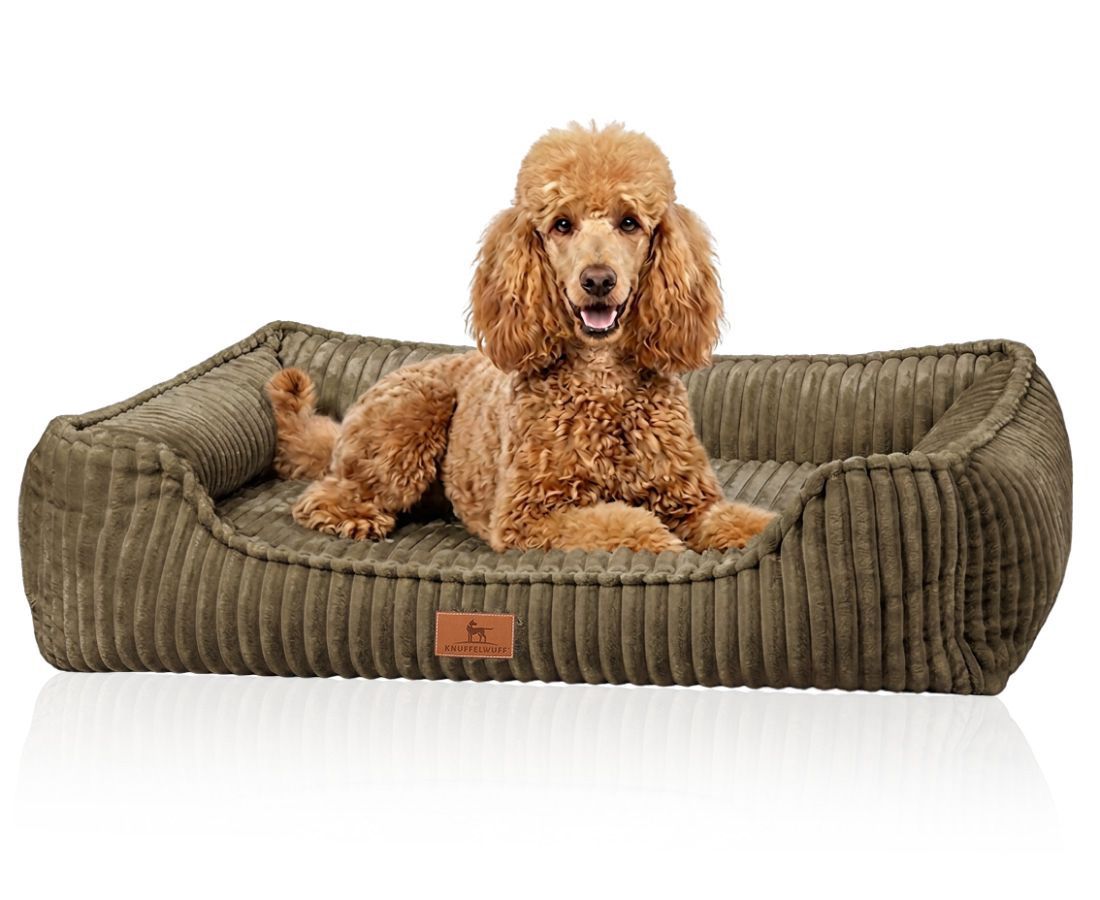 Braunes Hundebett aus Cord mit erhöhtem Rand und einem Pudel.
