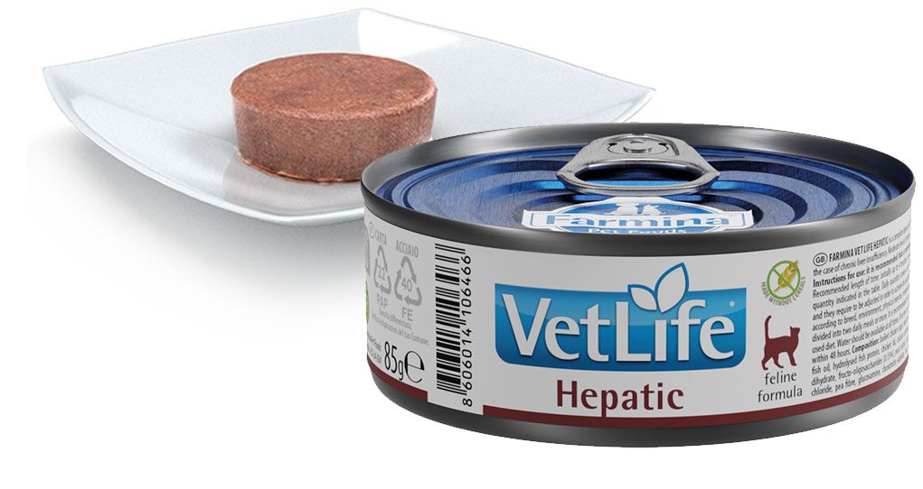 Farmina Vet Life Hepatic Nassfutter für Katzen