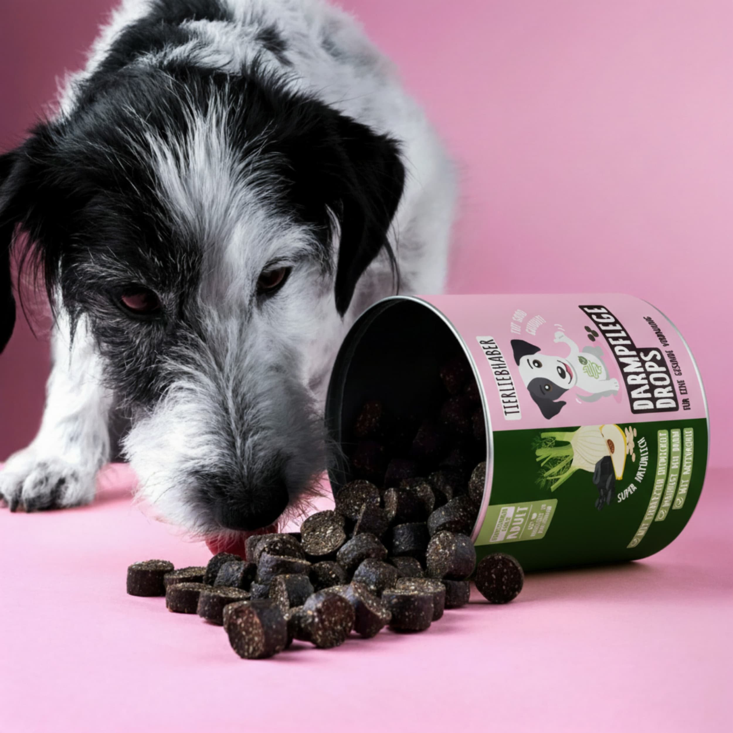 Hund frisst aus geöffneter Dose Darmpflege Drops. Dose mit Produktname und Logo. Drops liegen verstreut auf rosa Untergrund.