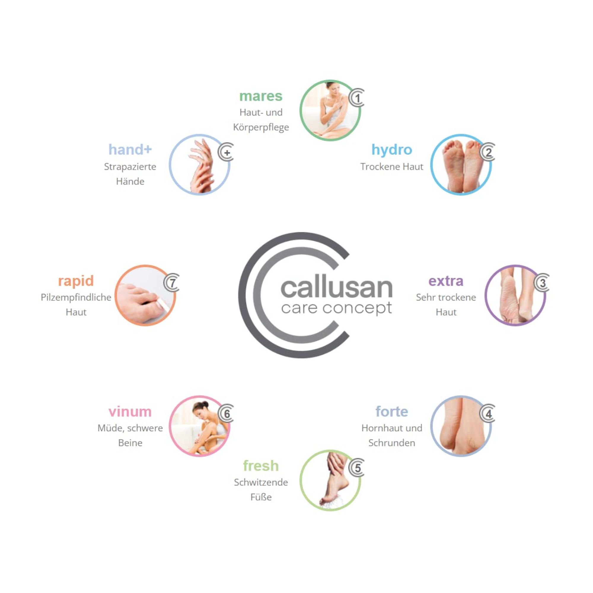 Kreisförmige Anordnung von Icons und Texten um das Logo "callusan care concept". Themen: Hände, trockene Haut, Füße, Beine, etc.