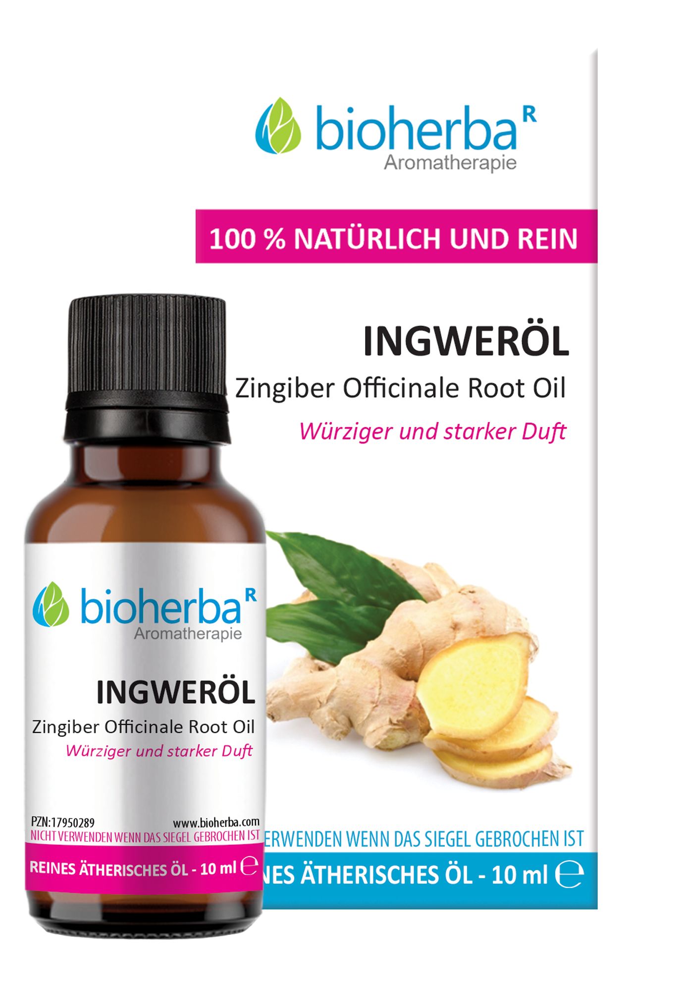Braune Glasflasche mit schwarzem Deckel. Aufschrift: Ingweröl, Zingiber Officinale Root Oil. Abbildung von Ingwer und Blättern.