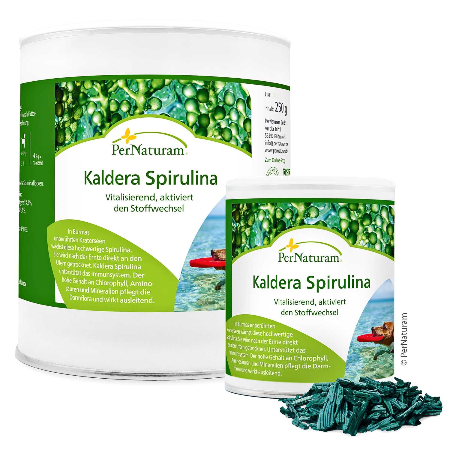 Zwei Dosen mit Etiketten. Aufschrift: Kaldera Spirulina. Bild: Hund im Wasser mit rotem Spielzeug. Blaue Spirulina-Flocken.