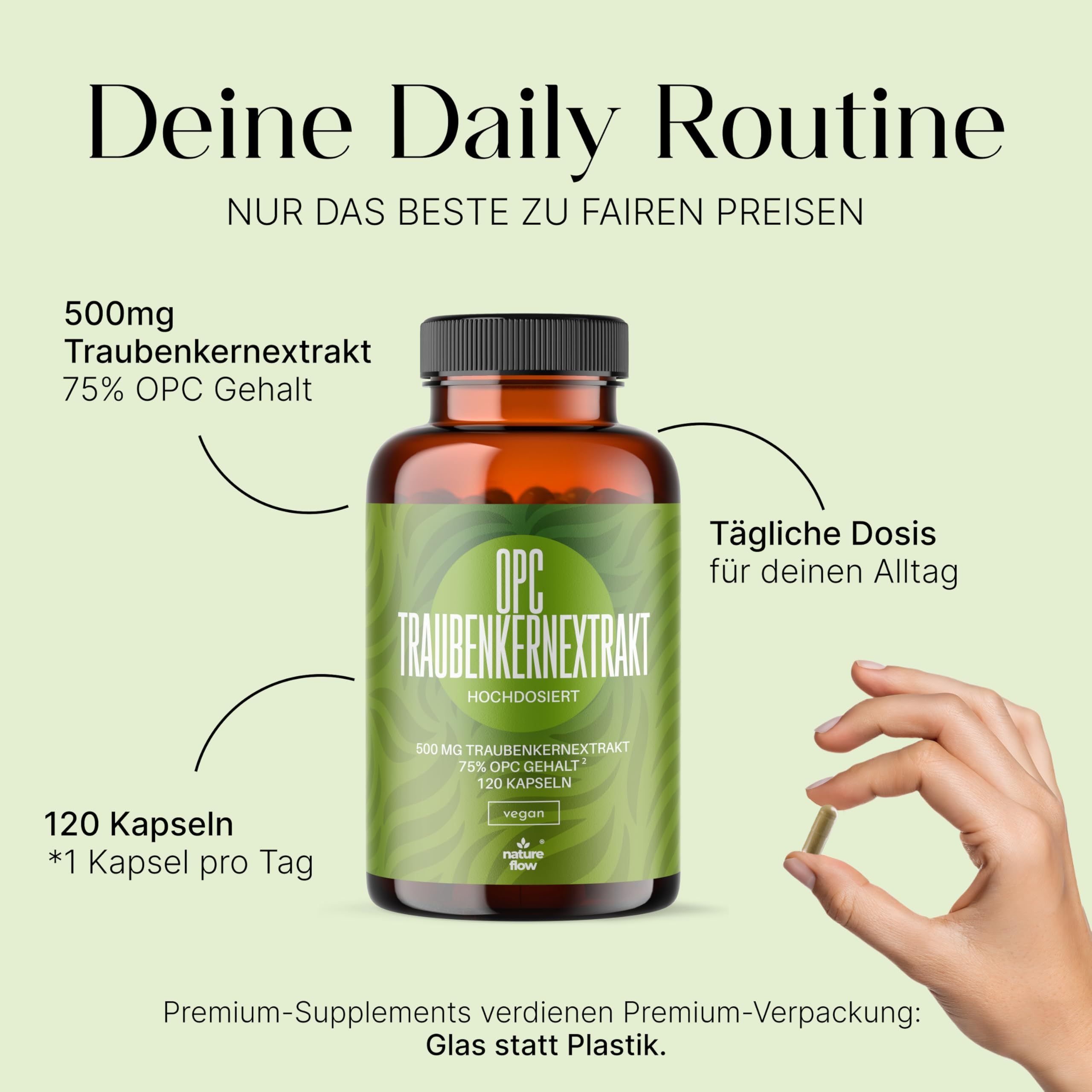 Flasche OPC Traubenkernextrakt, 120 Kapseln, 500mg. Hand hält eine Kapsel. Tägliche Dosis.