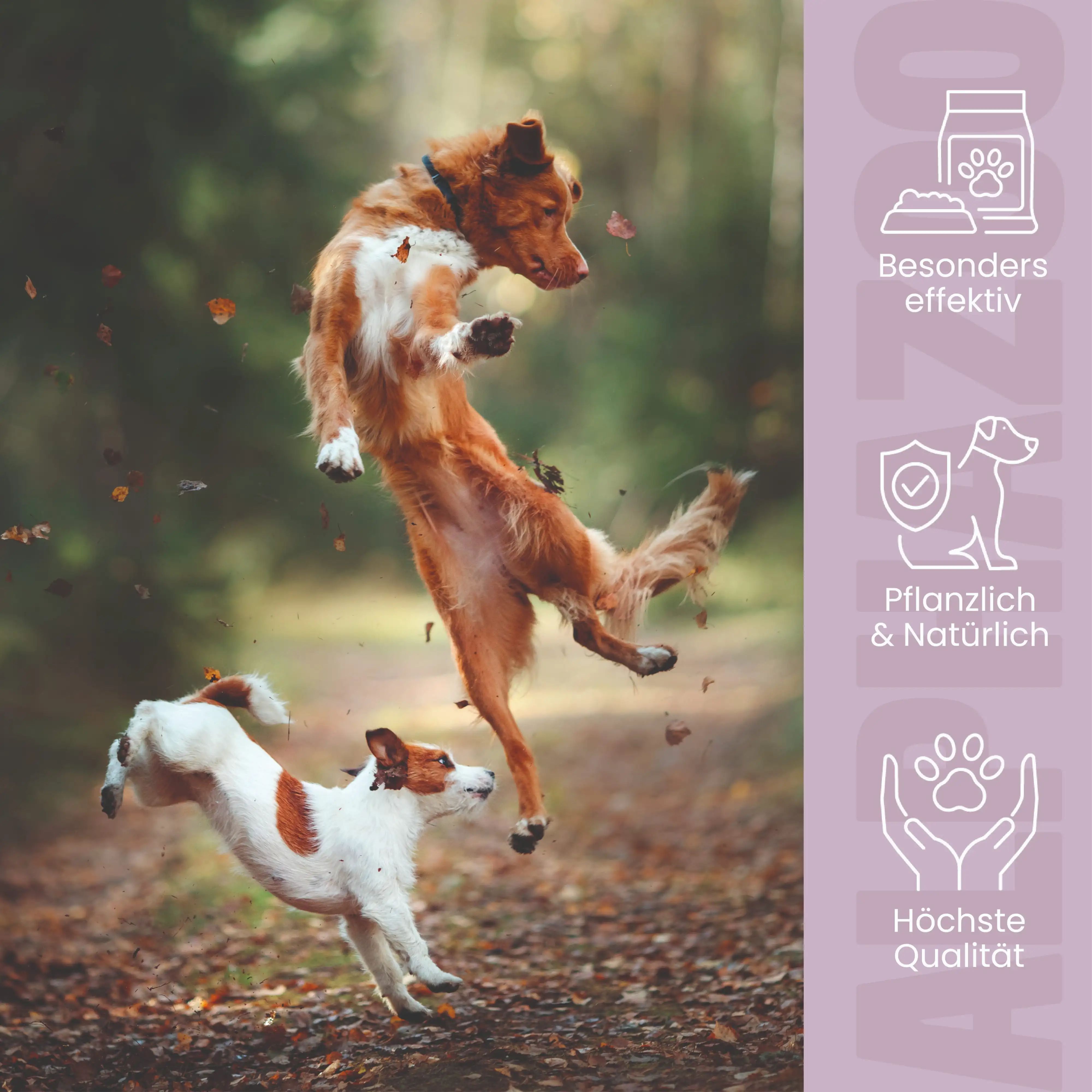 Zwei Hunde springen im Freien. Auf der rechten Seite sind Icons mit Text: Besonders effektiv, Pflanzlich & Natürlich, Höchste Qualität.