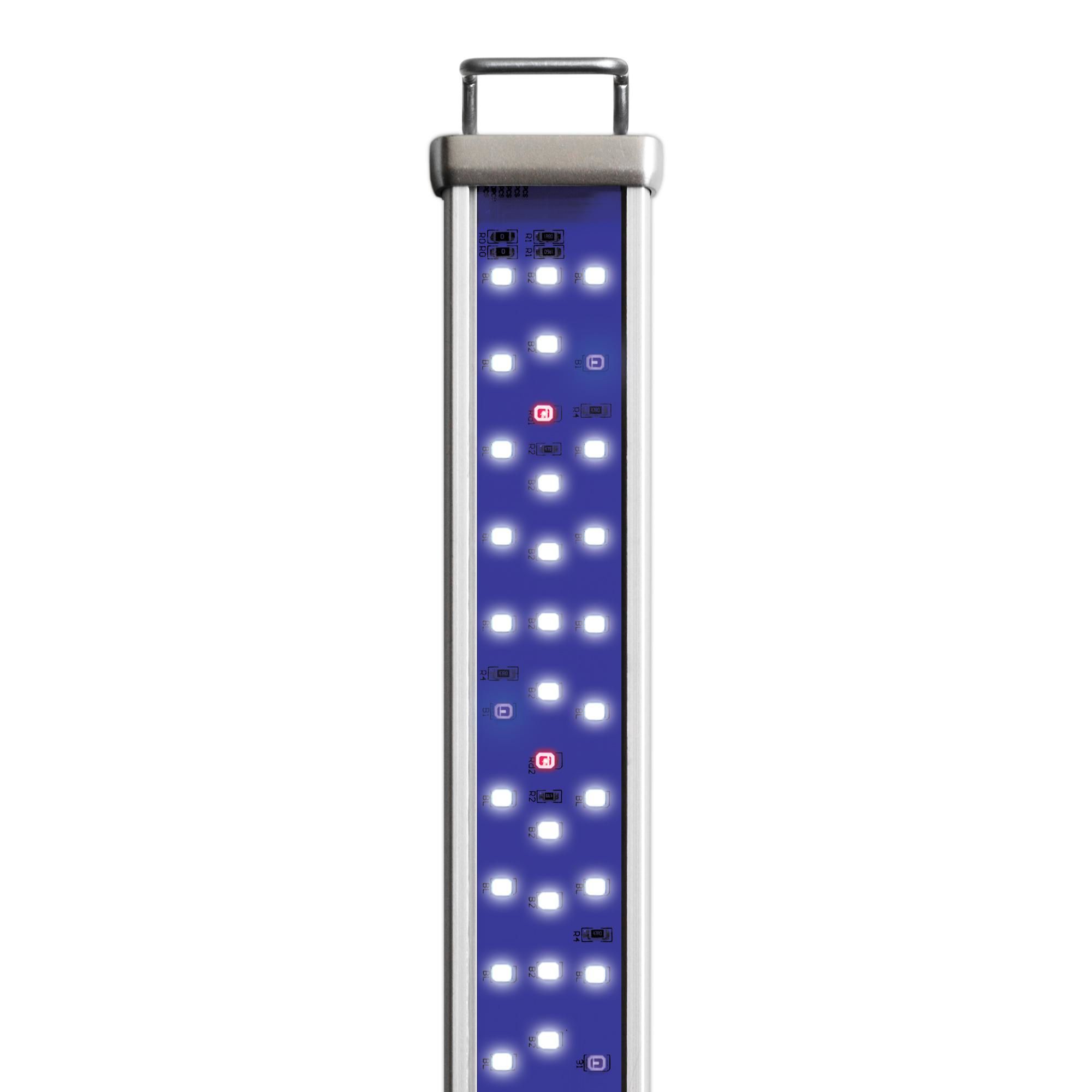 Nahaufnahme der Reef Blue LED-Leiste. Silberfarbener Rahmen, blaue LED-Anordnung. Oben Halterung.