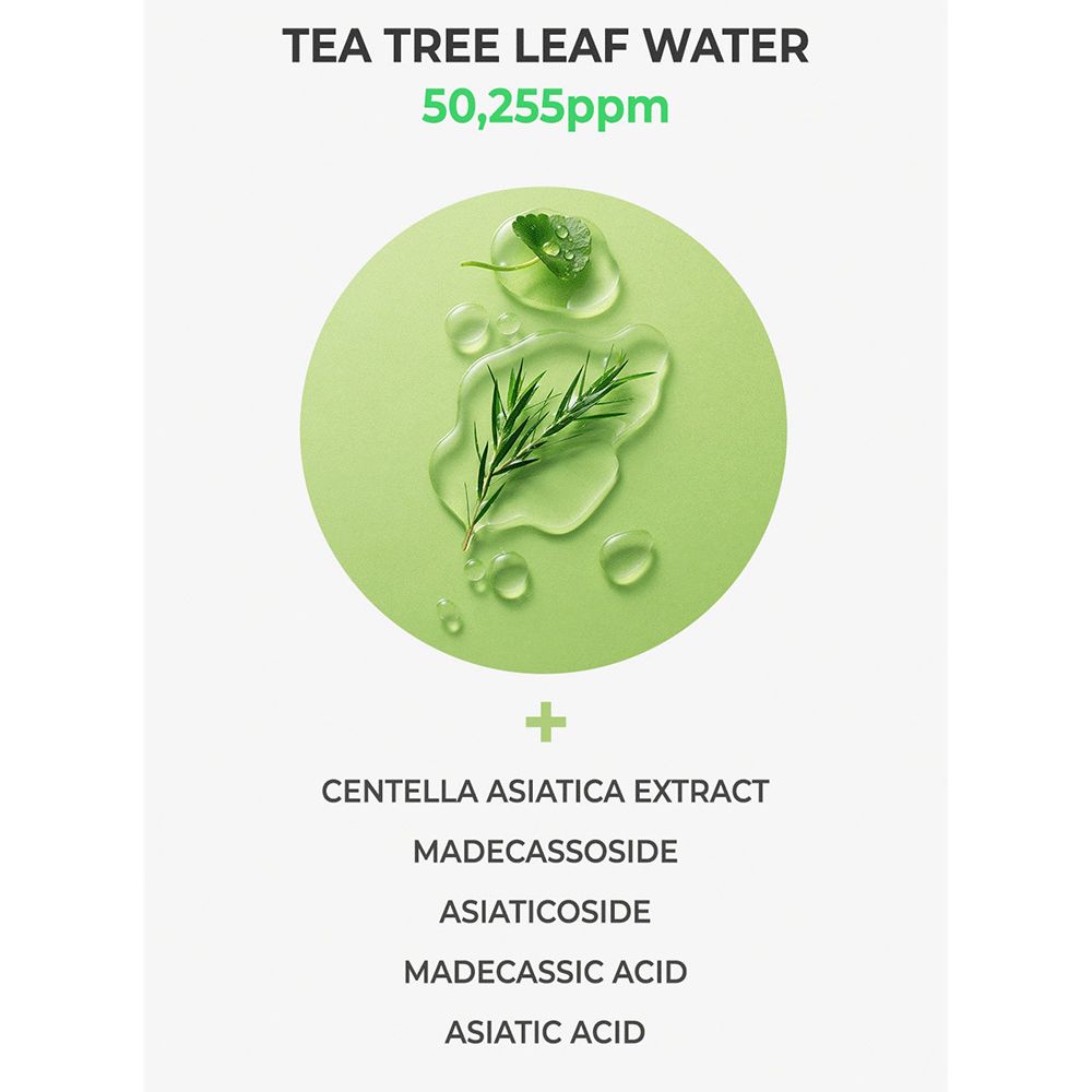 NATURE REPUBLIC Green Derma Tea Tree Cica Big Face Toner