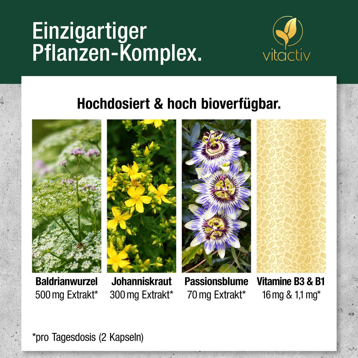 Vier Pflanzenextrakte und Vitamine B1/B3: Baldrian, Johanniskraut, Passionsblume, Vitamine B3 & B1.