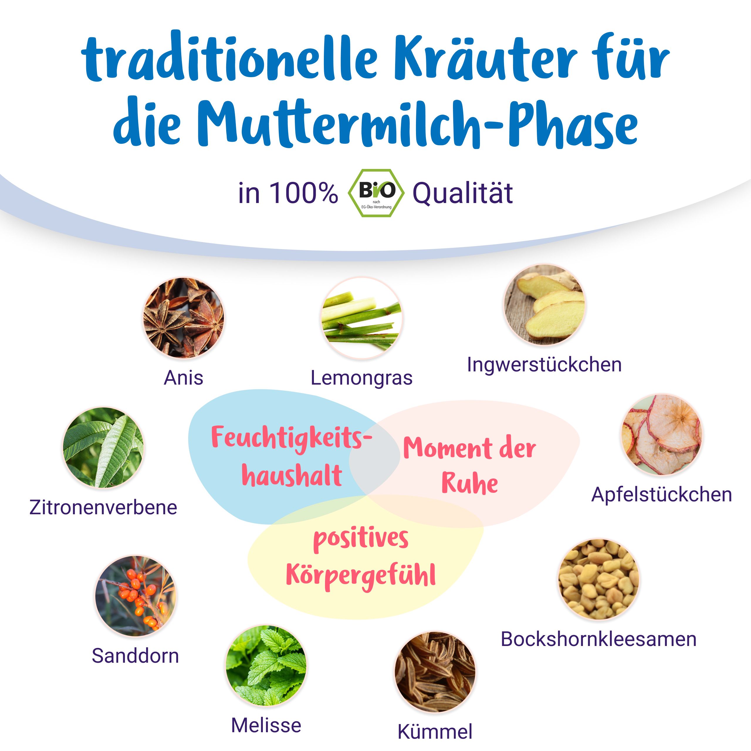 Zutaten des Schwangerschaftstees: Anis, Lemongras, Ingwer, Apfel, Sanddorn, Melisse, Kümmel, Bockshornklee.