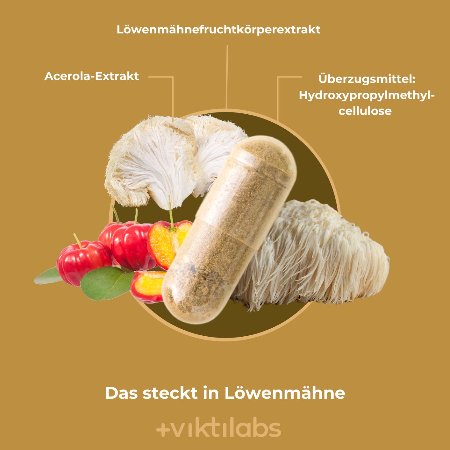 Löwenmähnepilz, Acerolakirschen und eine Kapsel, mit Text zu Inhaltsstoffen.