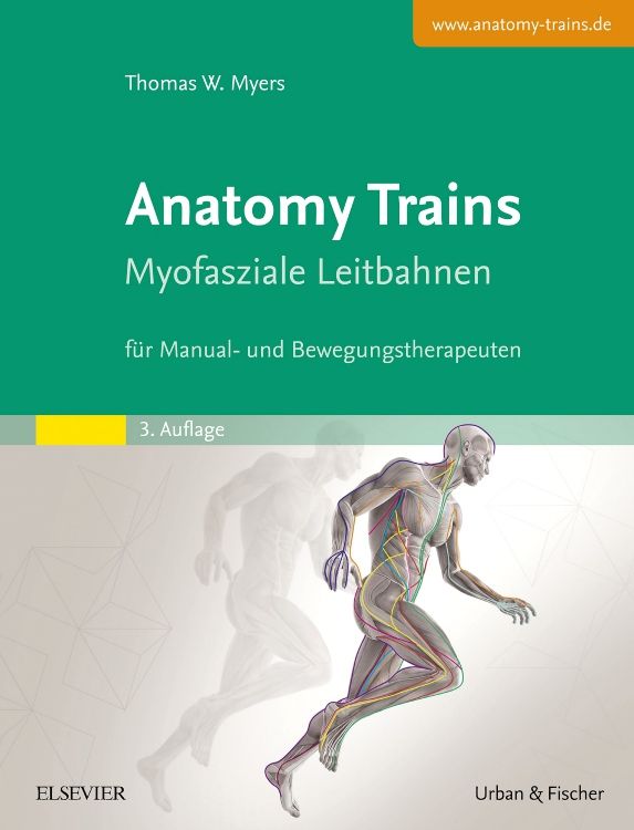 Buchcover von Anatomy Trains. Titel und Untertitel in Deutsch. Abbildung eines menschlichen Körpers mit farbigen Linien. Verlag Elsevier.