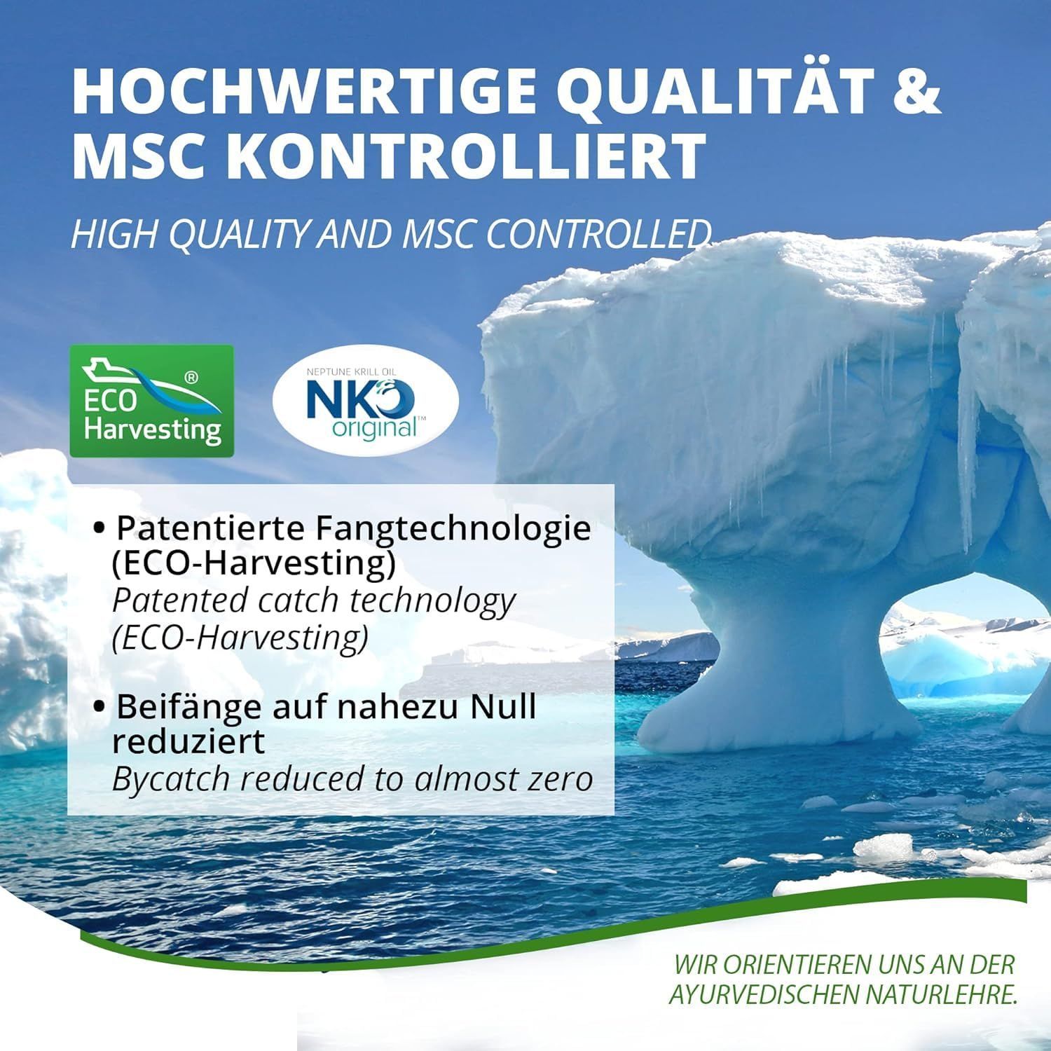 Eisberge im Meer. Text: Hochwertige Qualität & MSC kontrolliert. Eco Harvesting Logo. NKO original Logo. Text über Fangtechnologie.