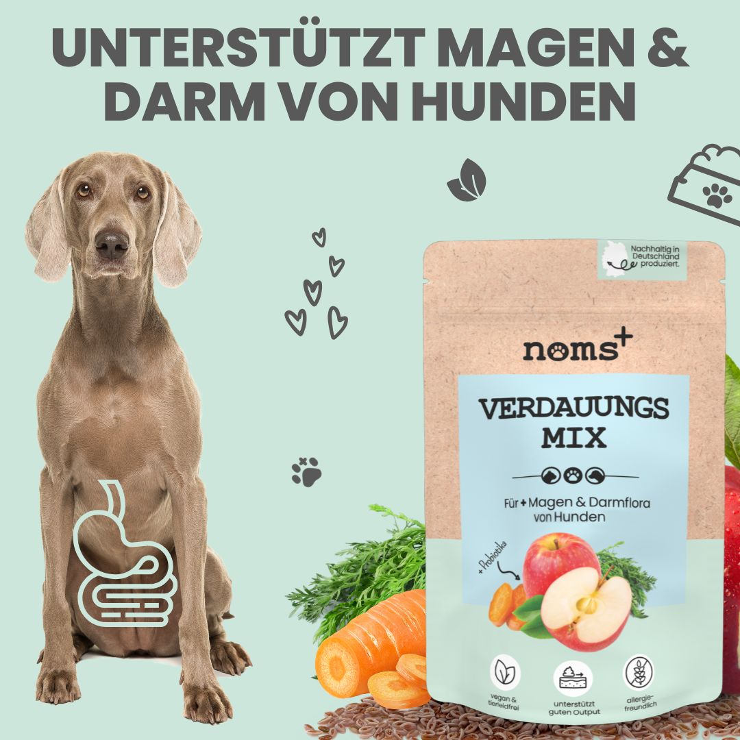 noms+ Verdauungsmix für Hunde & Katzen als Probiotikum Magen- Darmflora 150 g Pulver